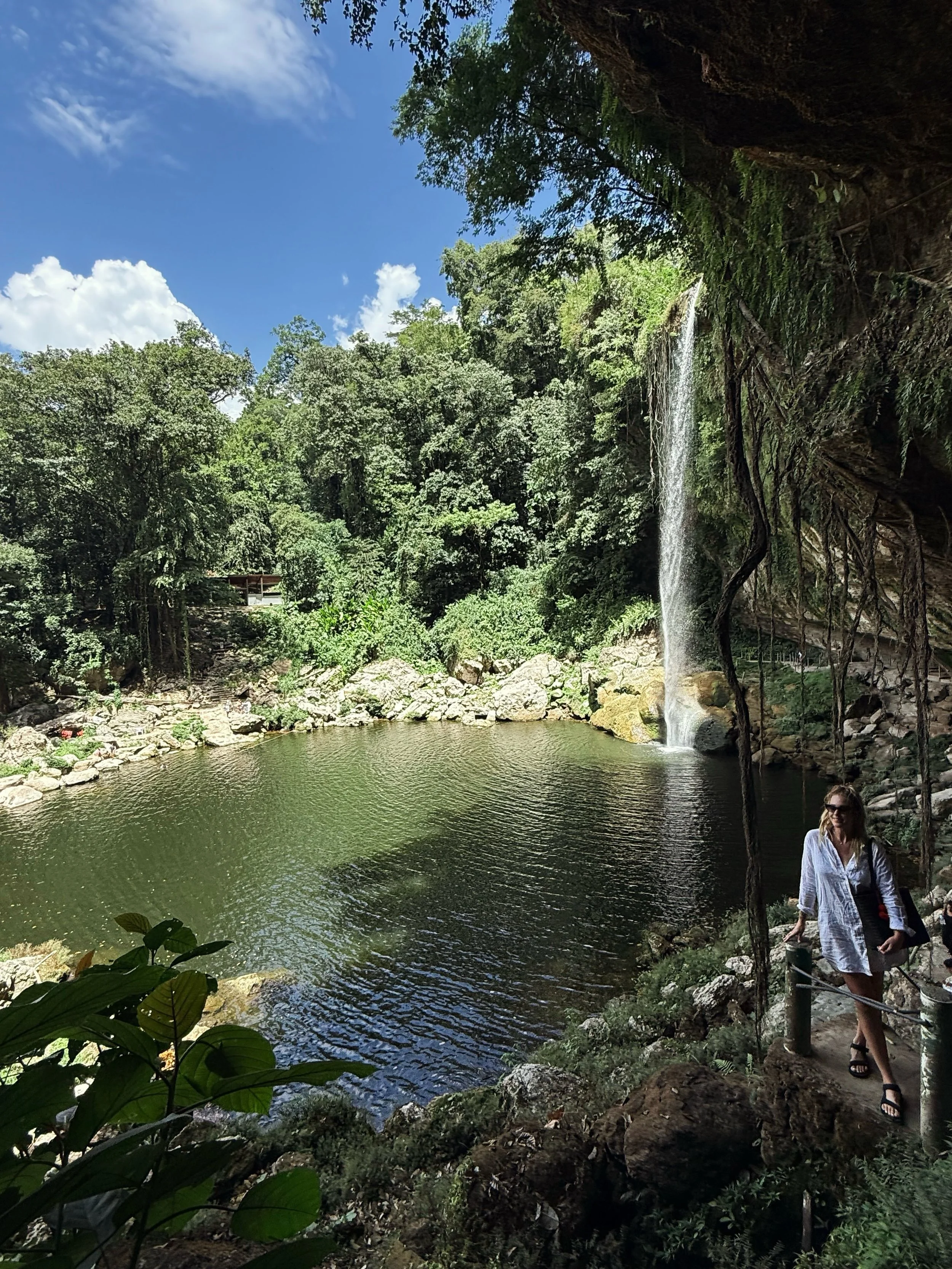 Waterfalls rush and wild birds sing,
vines twist and climb around everything.
Light through the canopy, roots running deep,
a world God created, wild at our feet.
A thousand textures, every shade and hue,
We&rsquo;re just artists studying what God al