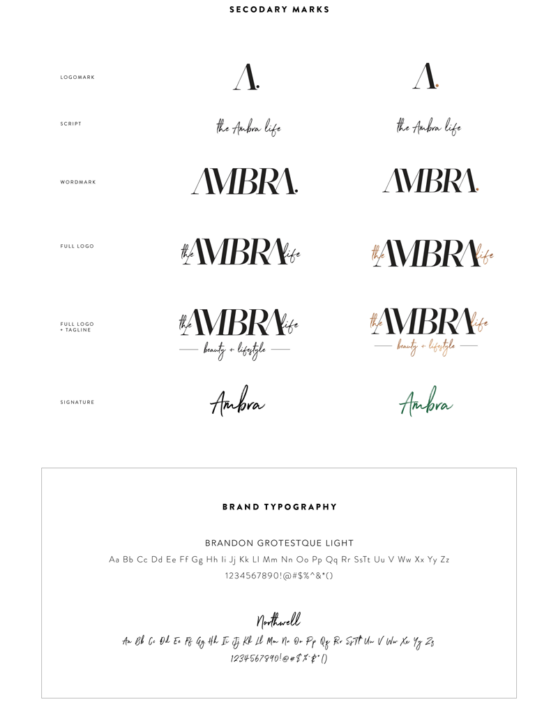 AMBRA_Guidelines2.png