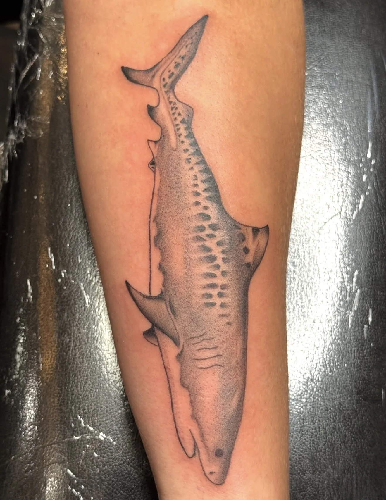 Tattoo of a shark on person's arm, with a detailed gray shading and black outlines