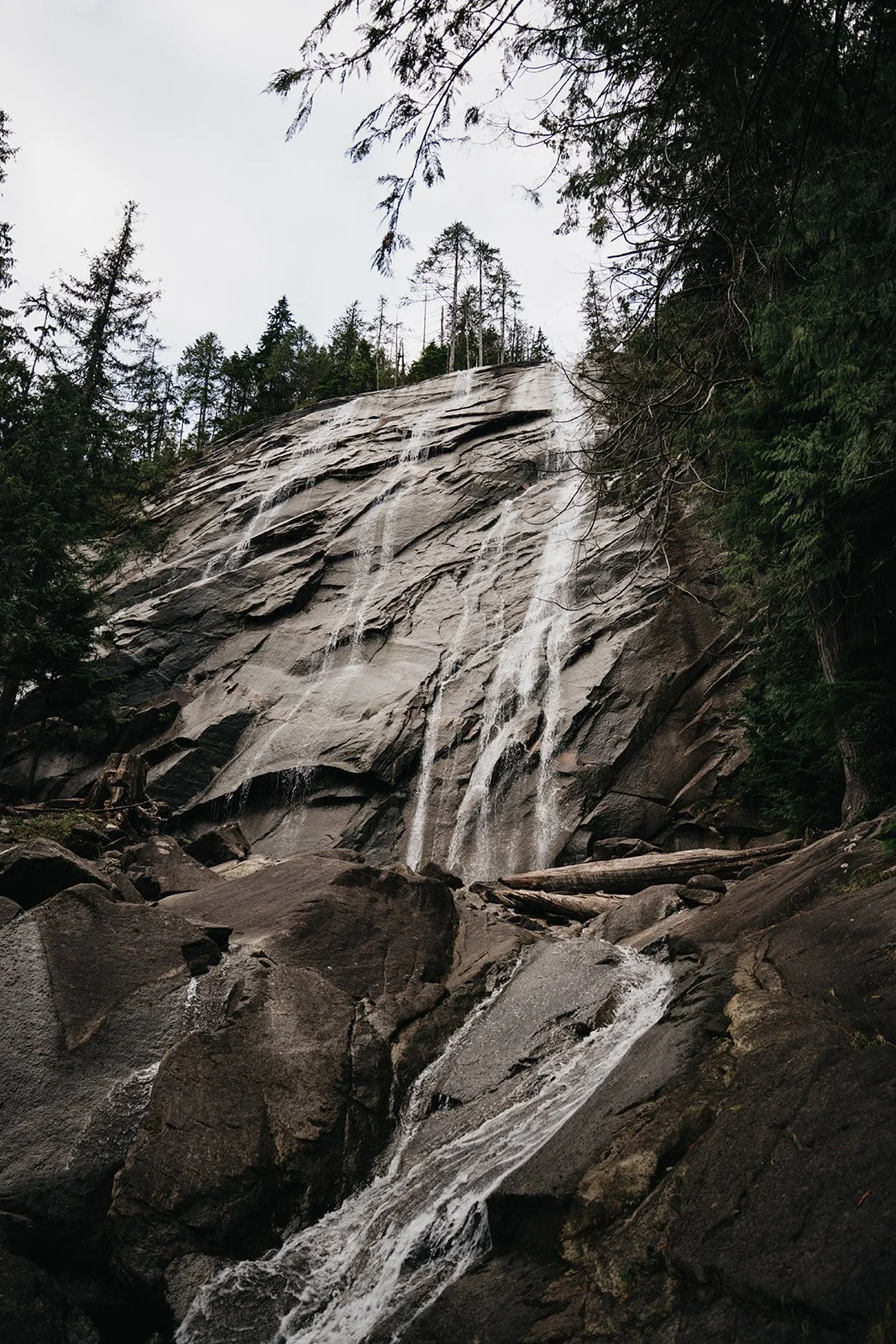 Andrea Michelle Photography - Seattle Washington Wedding 2025 Kylie & Jean-Luke-3.jpg