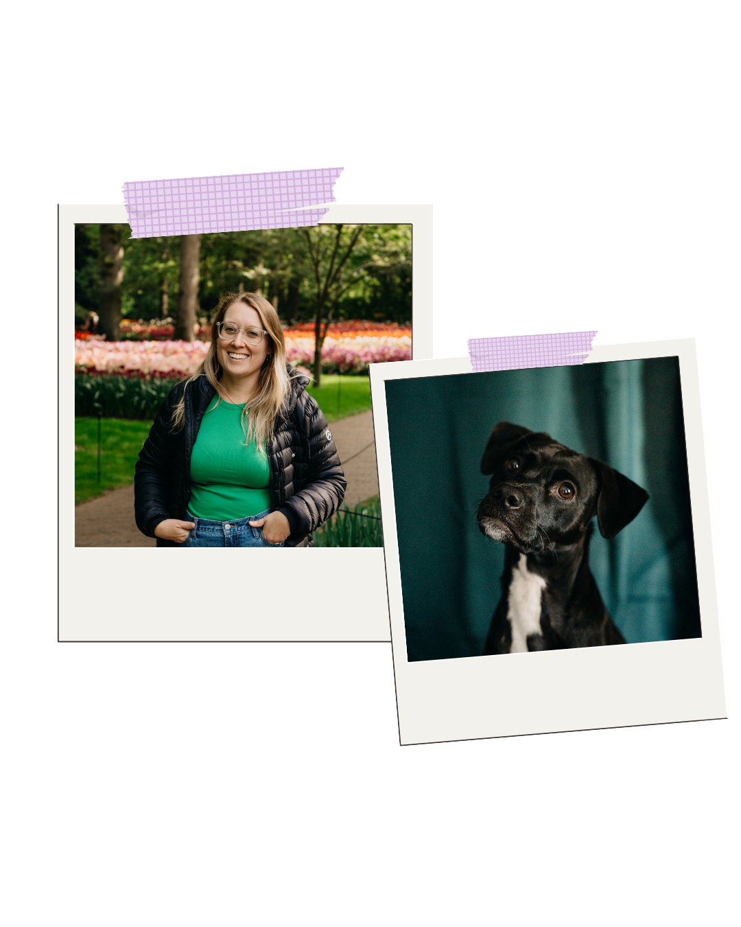Two polaroid photos, one of a smiling woman in a green shirt and black jacket in a park, and another of a black dog with white markings indoors against a green curtain, with purple patterned tape holding them.