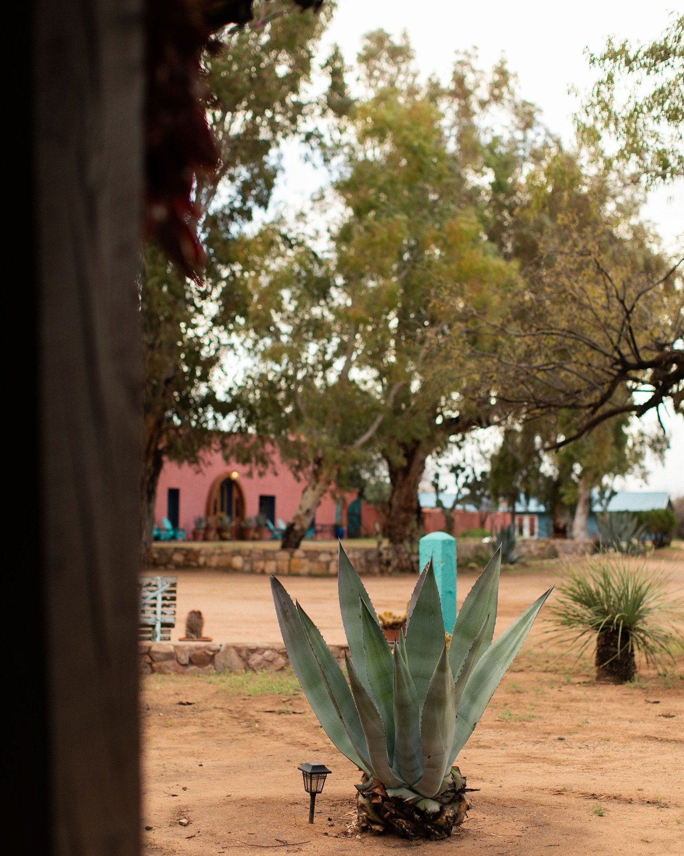 Rest, relax and recharge at Rancho de la Osa! 

📷 @its__eb__

#ranchodelaosa #duderanch #guestranch #duderanchvacation #azduderanch #arizonaduderanch #visitarizona #southernaz