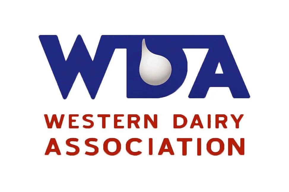 TEI produces year-in-review video for WDA