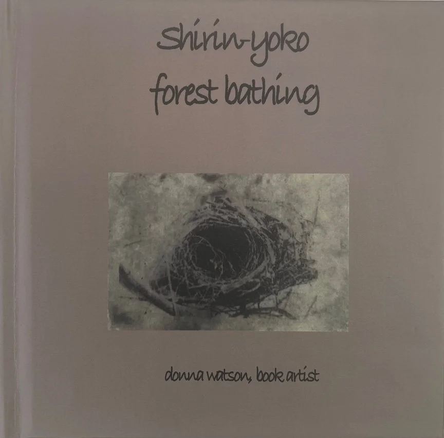 Shinrin-Yoko: Forest Bathing (collages in the forest