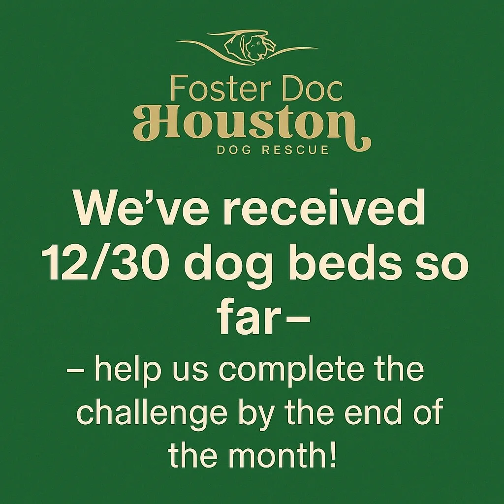 Hey HOUSTON‼️

You're generosity for gifting our amazing rescue pups with comfy beds this winter season has been stellar! BUT. we can do better! 

14 days left of this month- Let's reach our 30 for 30 goal ✨
https://www.fosterdochoustondogrescue.com/