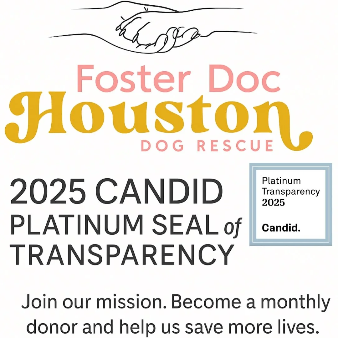 You heard it here first! 

We've officially earned our Platinum Seal of Transparency with @candiddotorg! Get updates on our impact through our #nonprofitprofile linked in our bio! 
#FosterDocHouston
#HoustonDogRescue
#DogRescueHouston
#RescueDogsOfHo