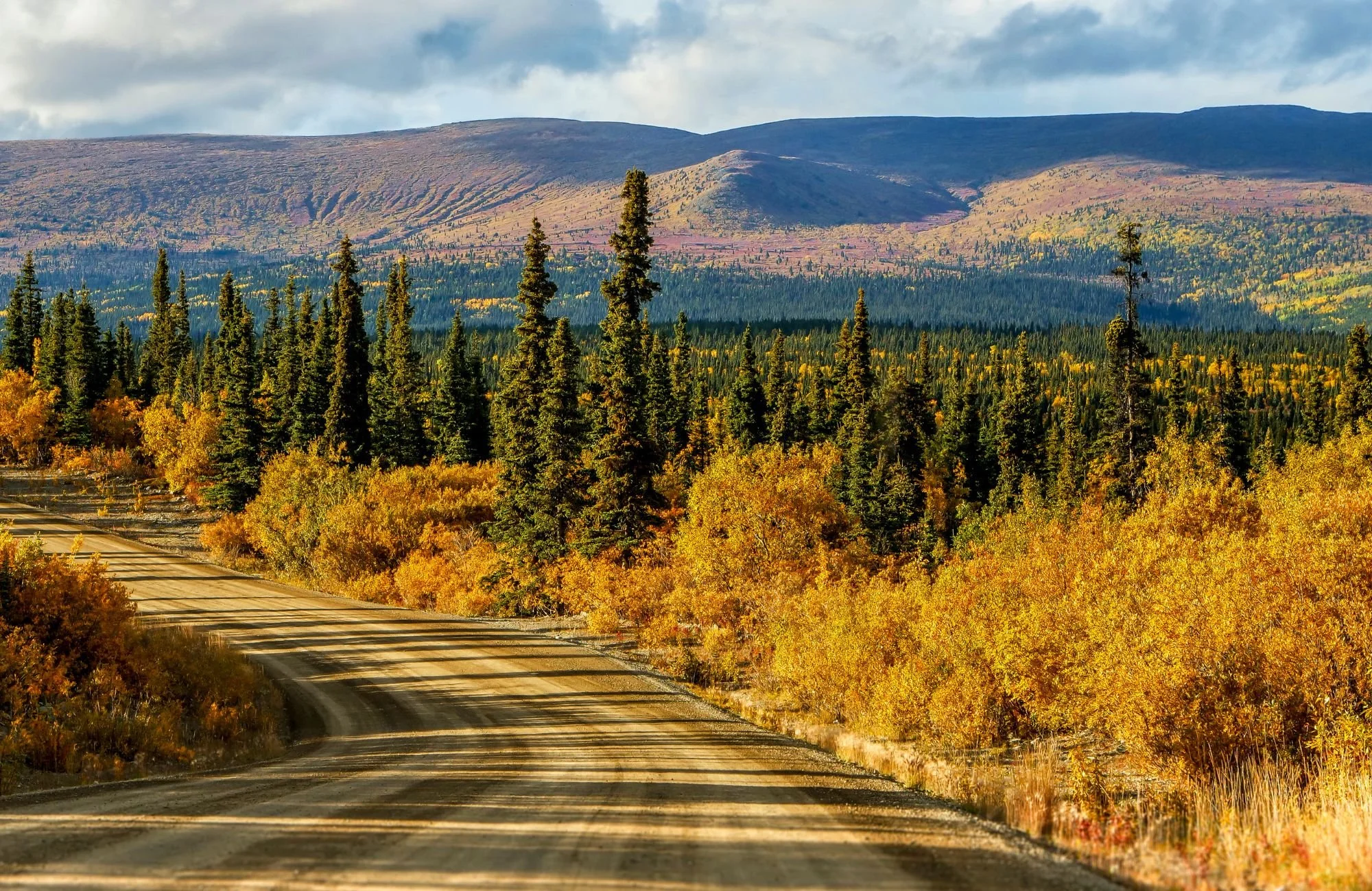 A photo of nature in the north to exemplify counselling Whitehorse