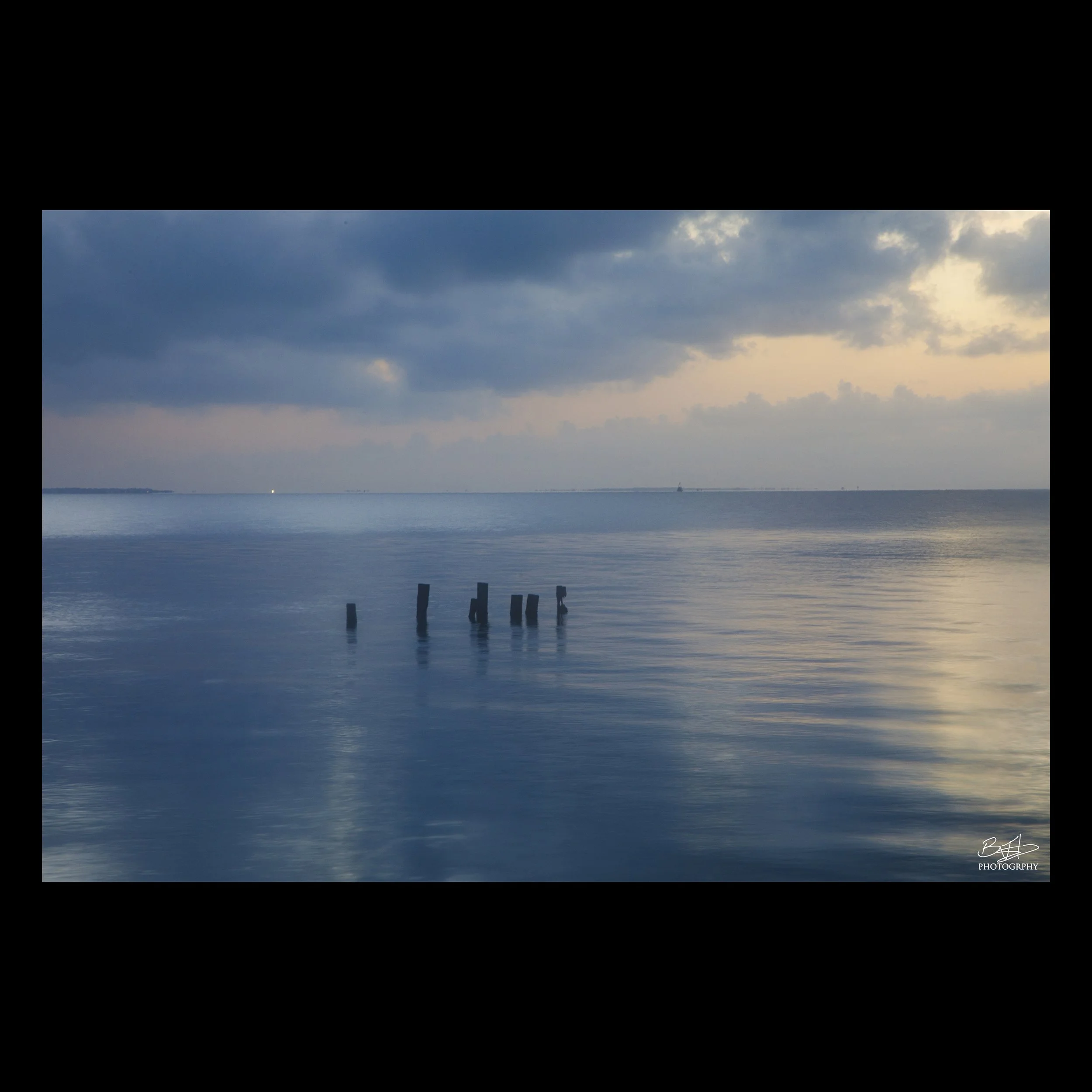 Morning Pilings