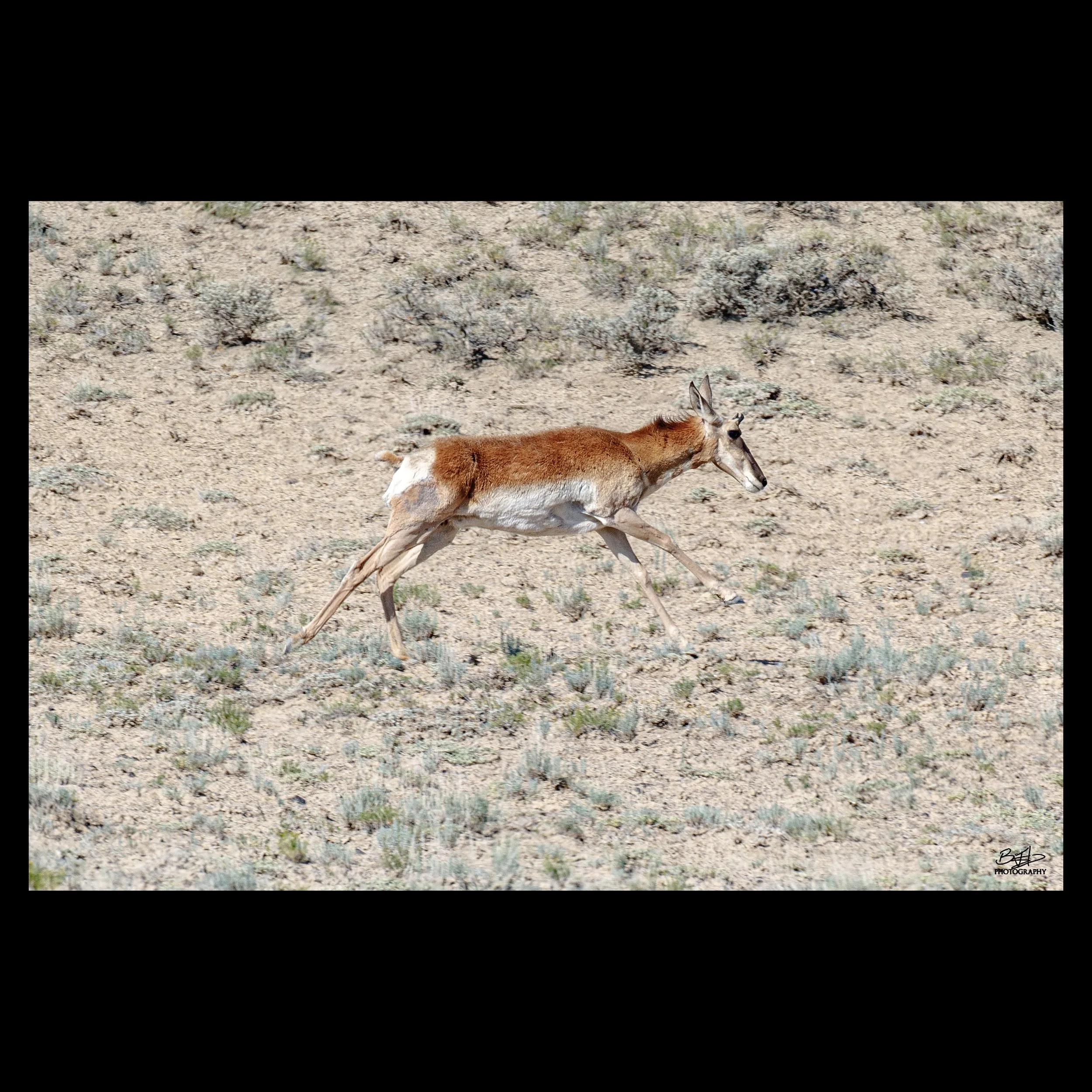 Sprinting