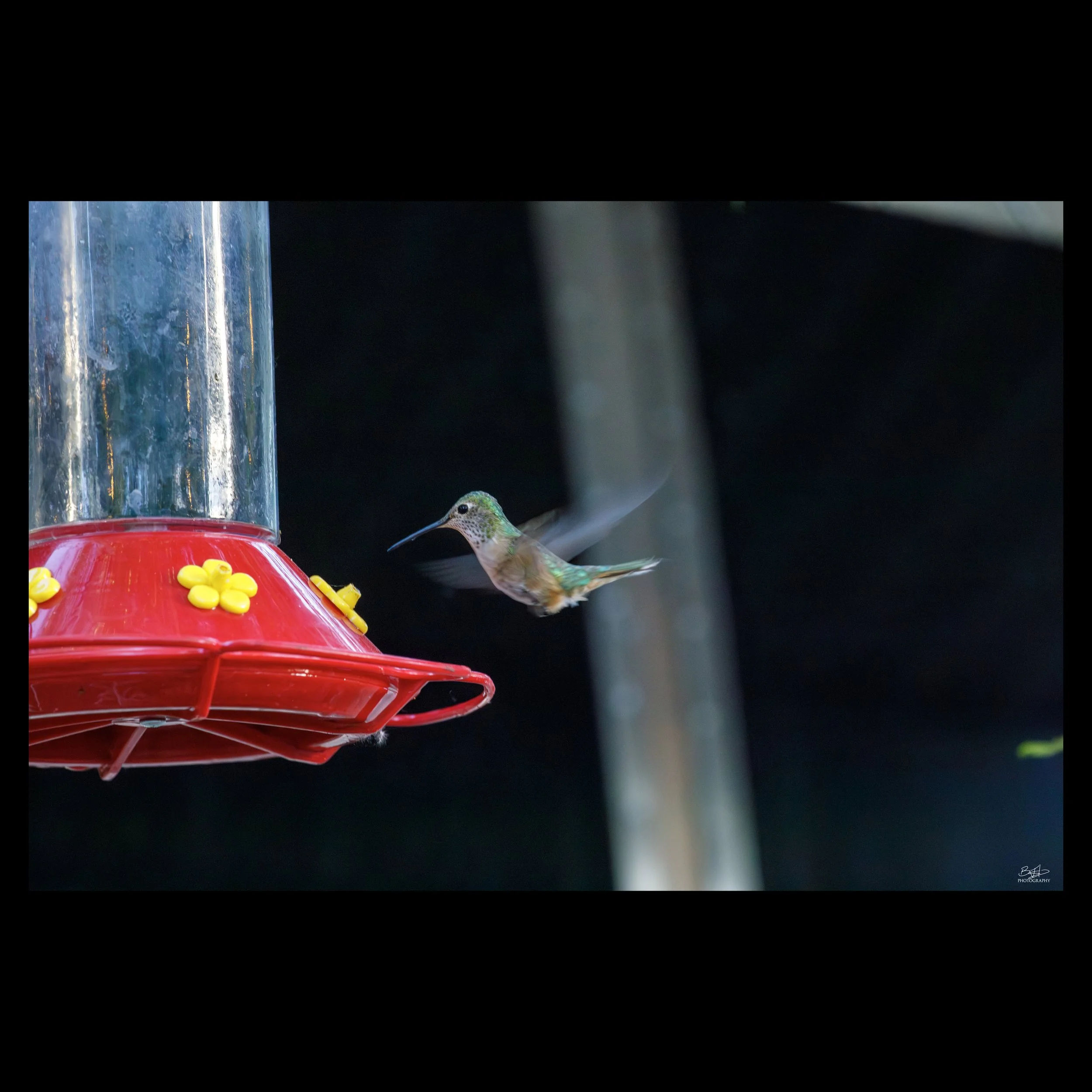Humming for a Drink