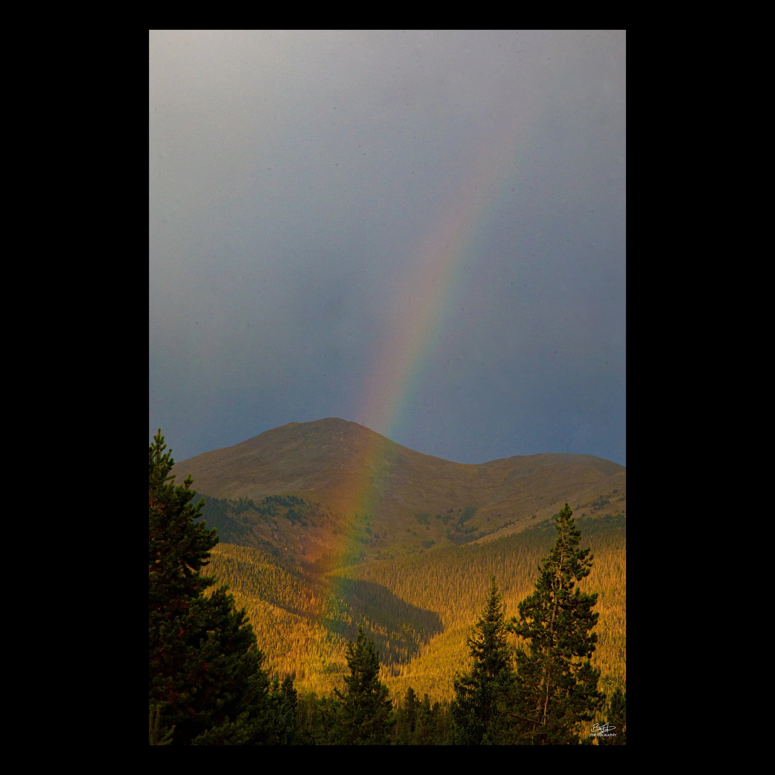 Rainbow in State Forrest State Park