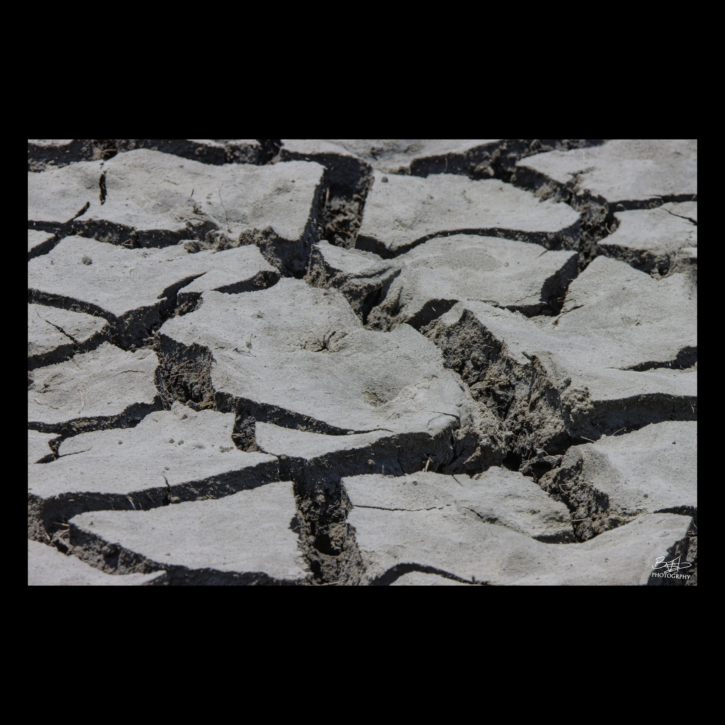Mud Cracks