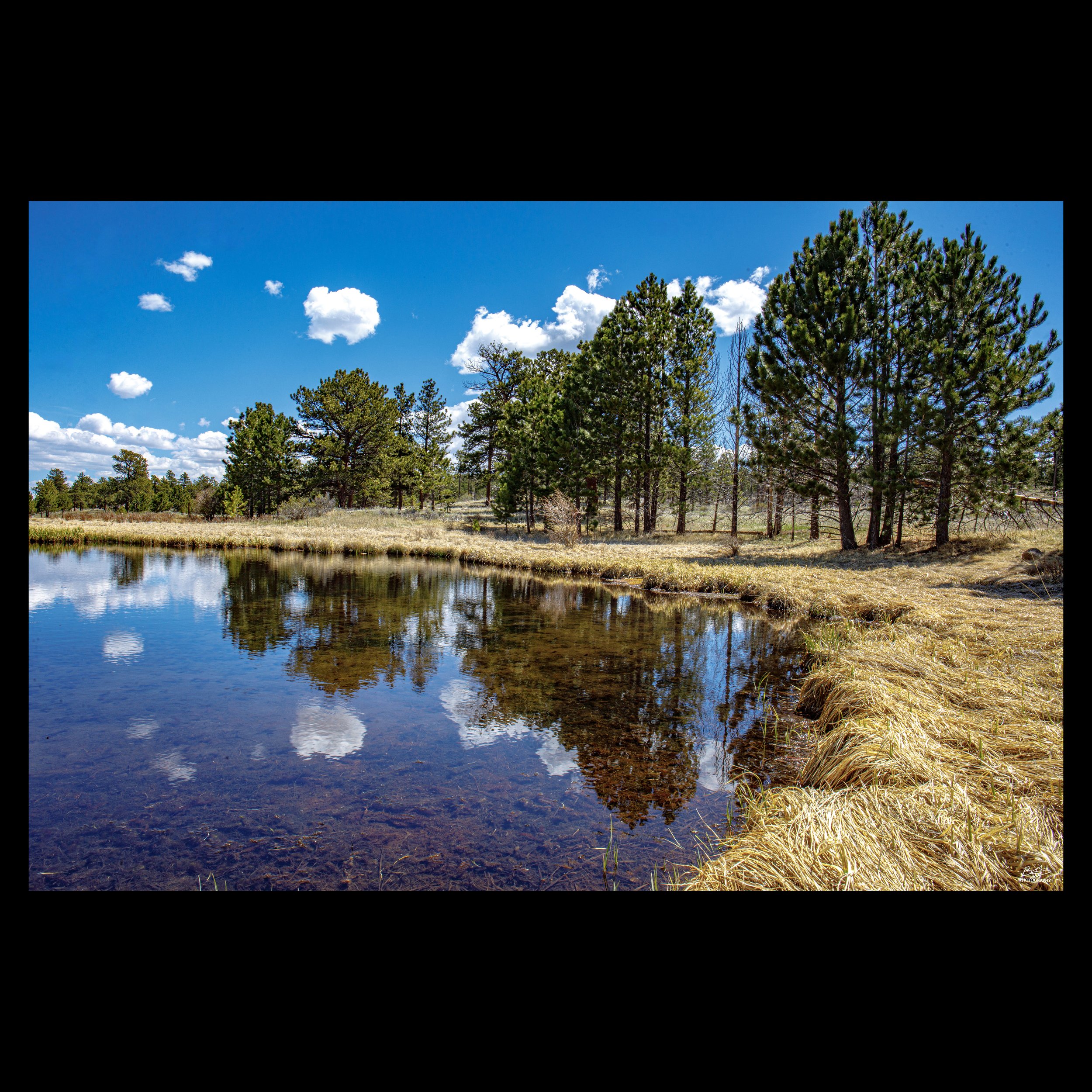 Dowdy Lake Reflection