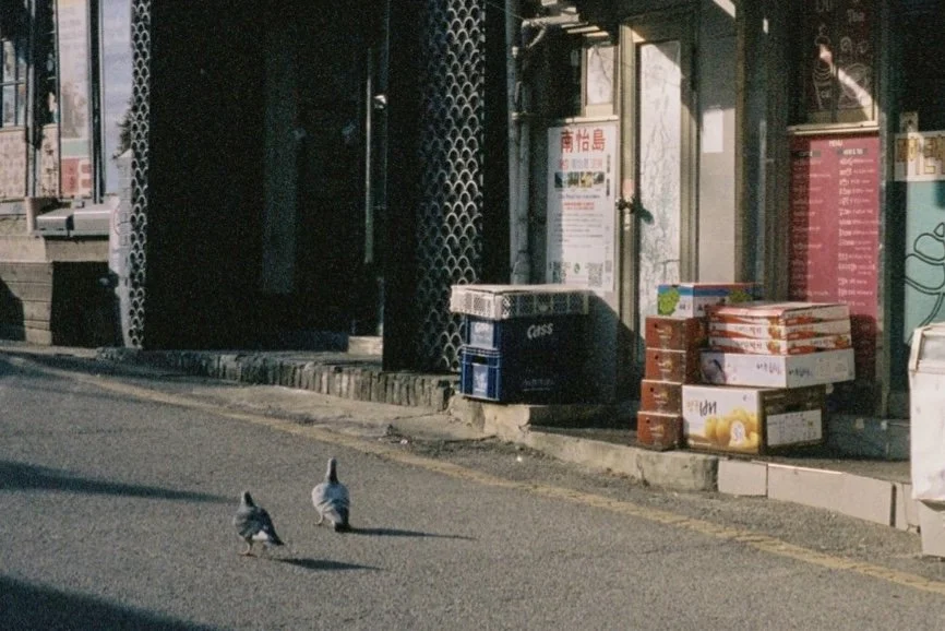 000043 2的副本.jpg