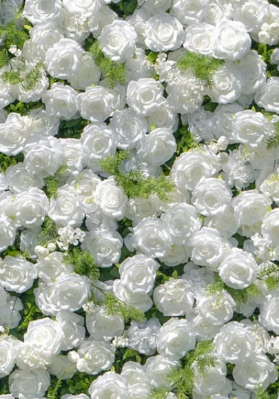 white 5d.png