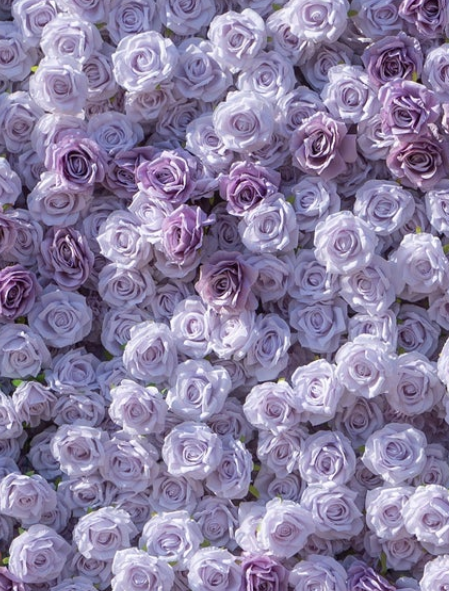 purple wall.png