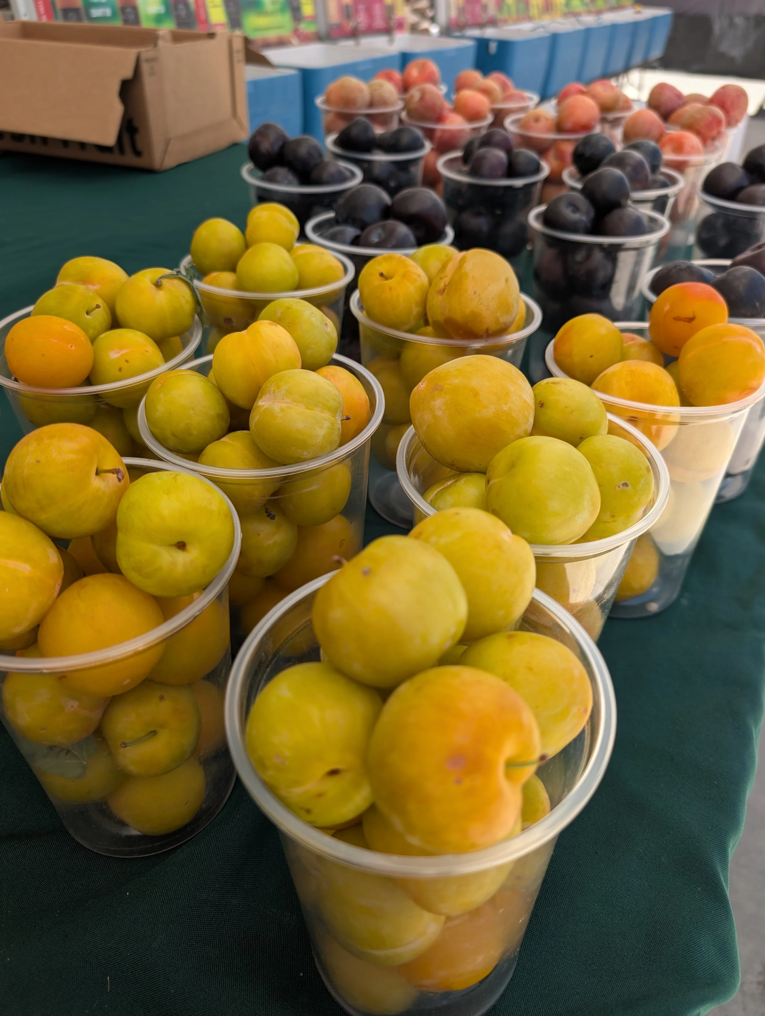 Farmers Market (MC) 