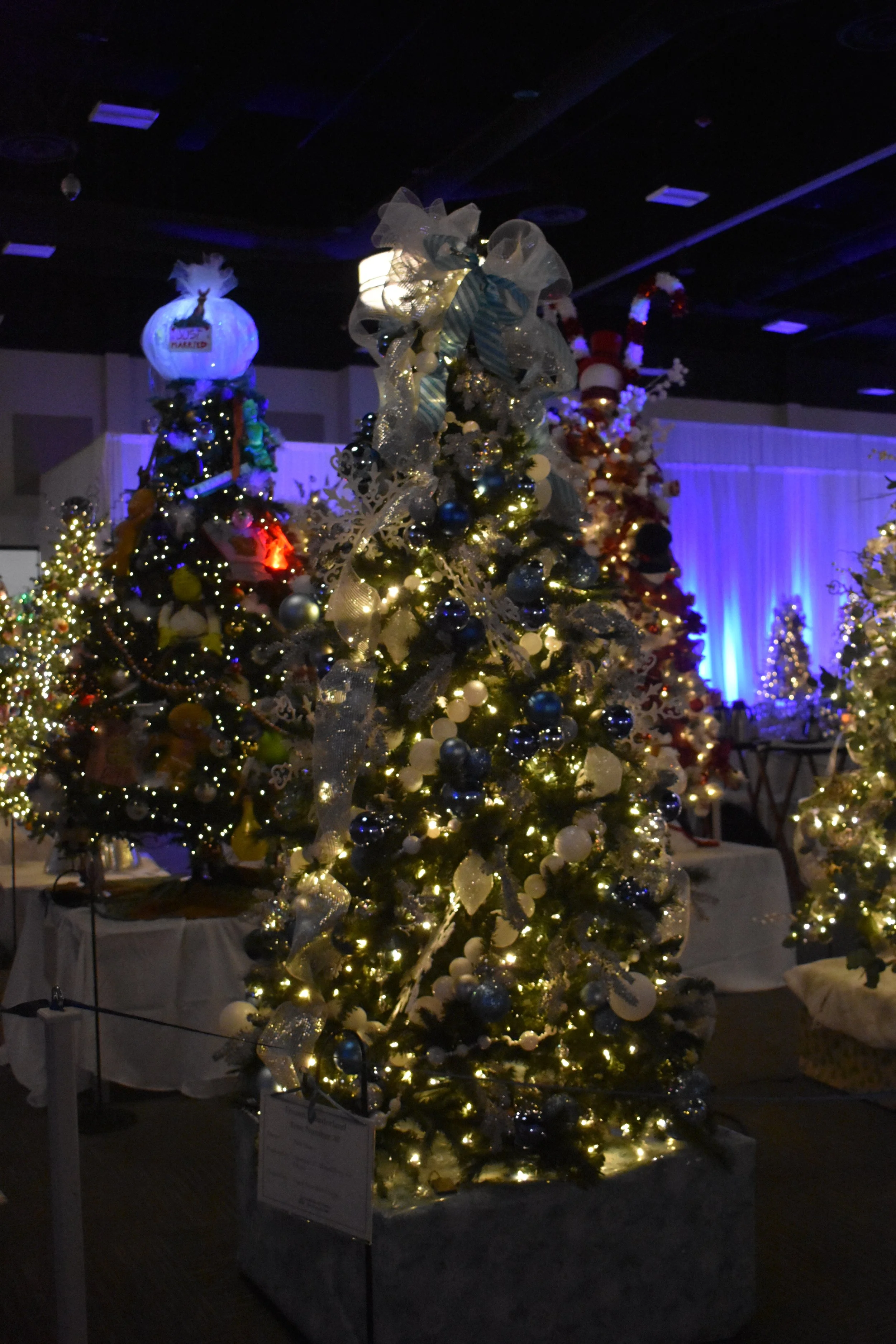 RUHS Foundation Festival of Trees
