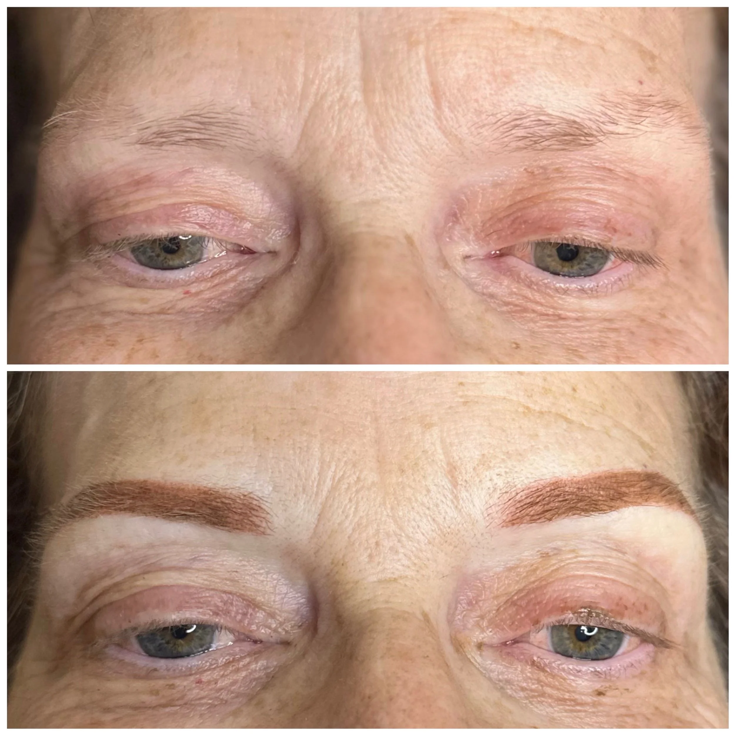 Powder Brows by Elaina