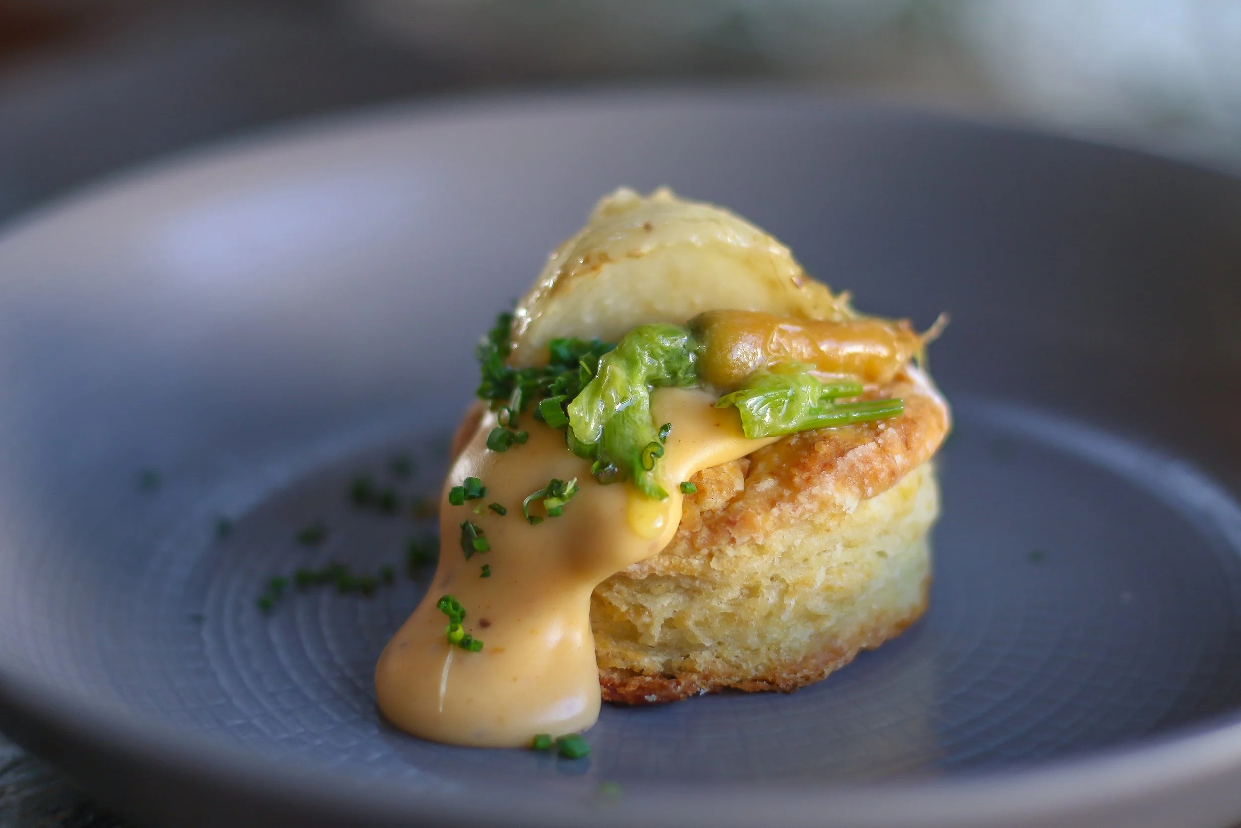 Copy of 1C8A5183.jpg