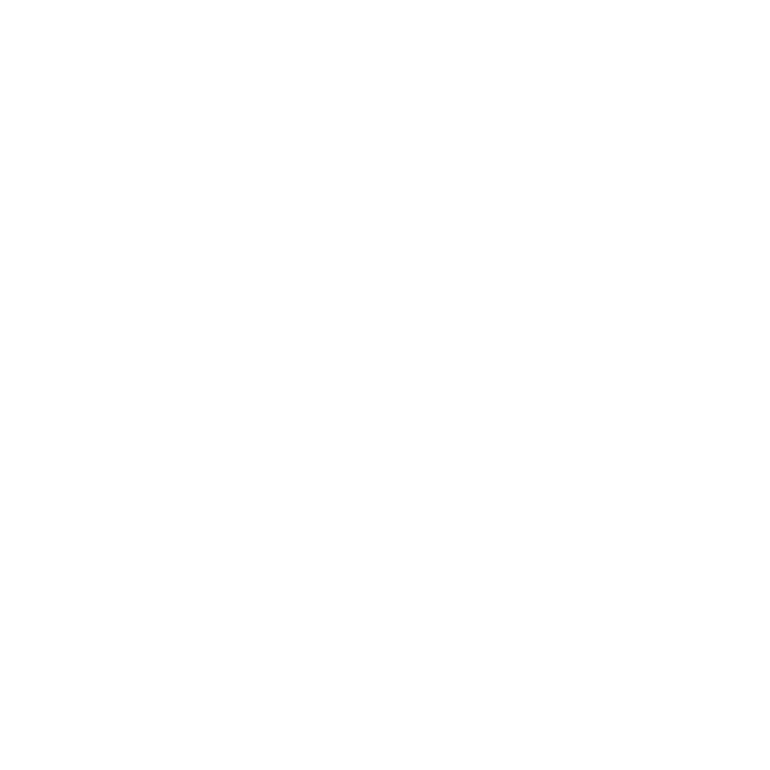 the-north-face-white.png