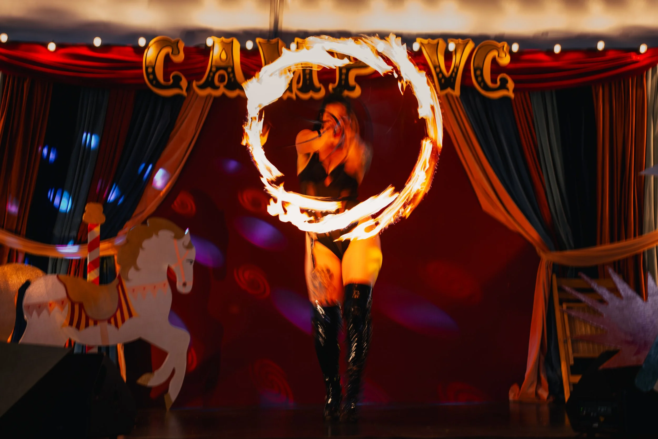 Fire Show by Heather Wood.jpg