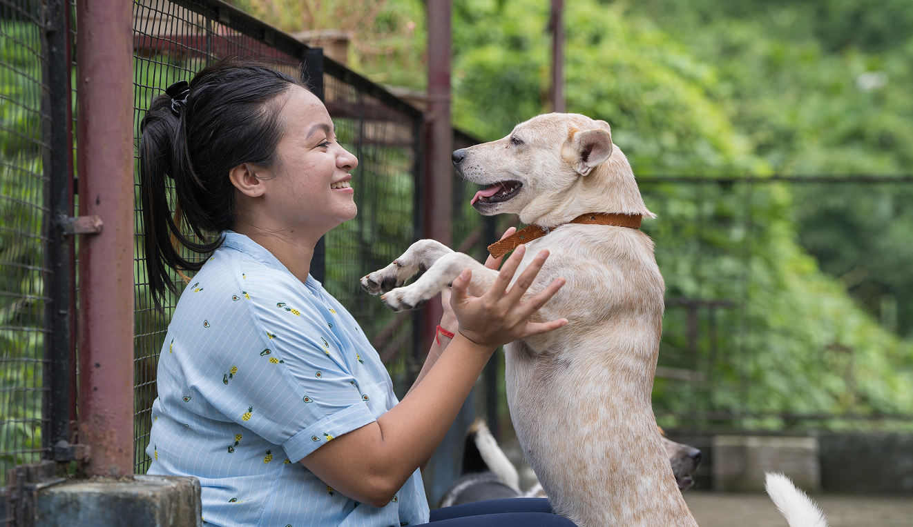 The third priority is companion animal wellbeing. | Mars, Incorporated