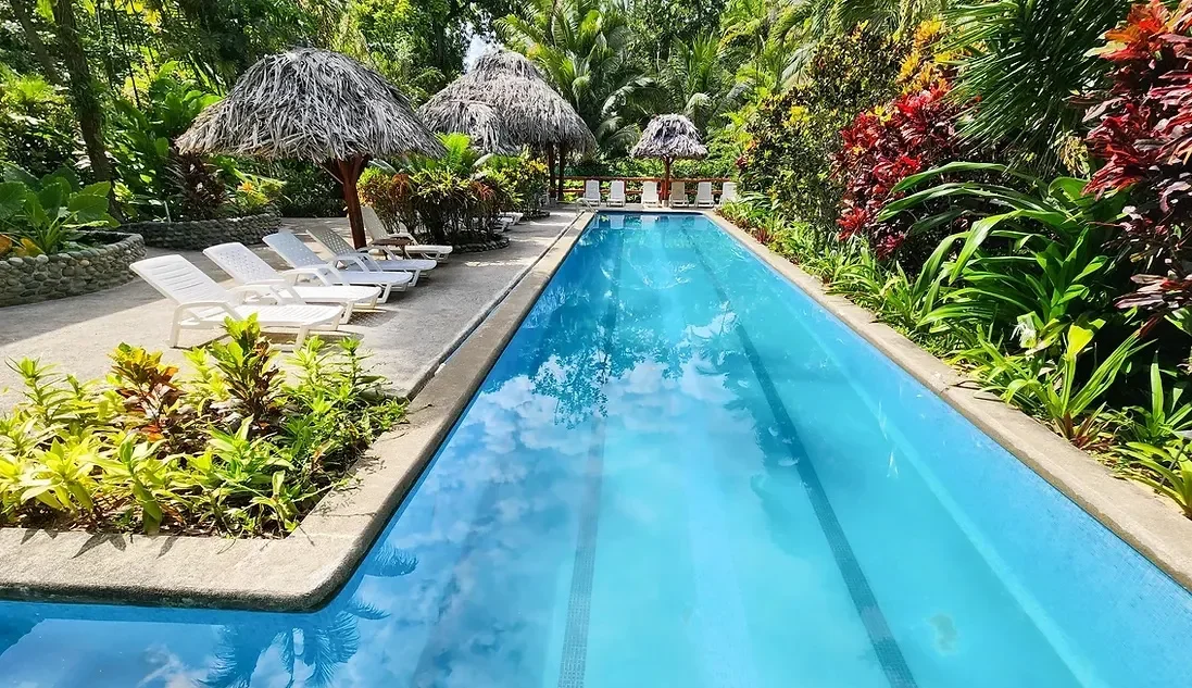 bluff beach retreat.webp