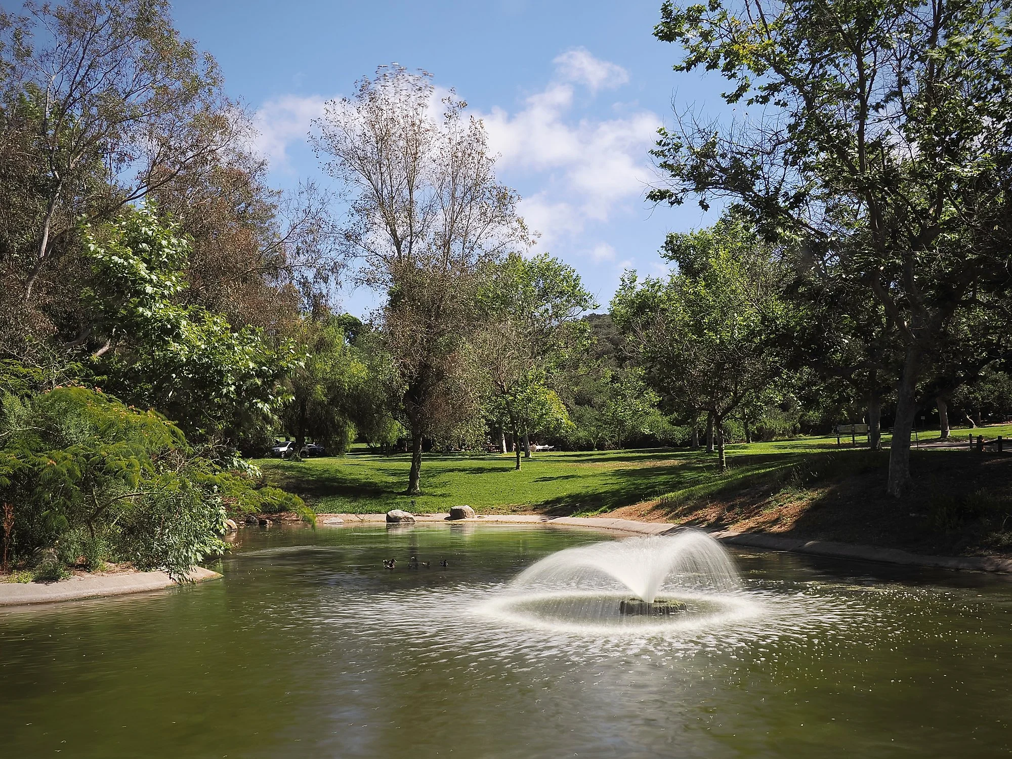 SAN DIEGUITO PARK