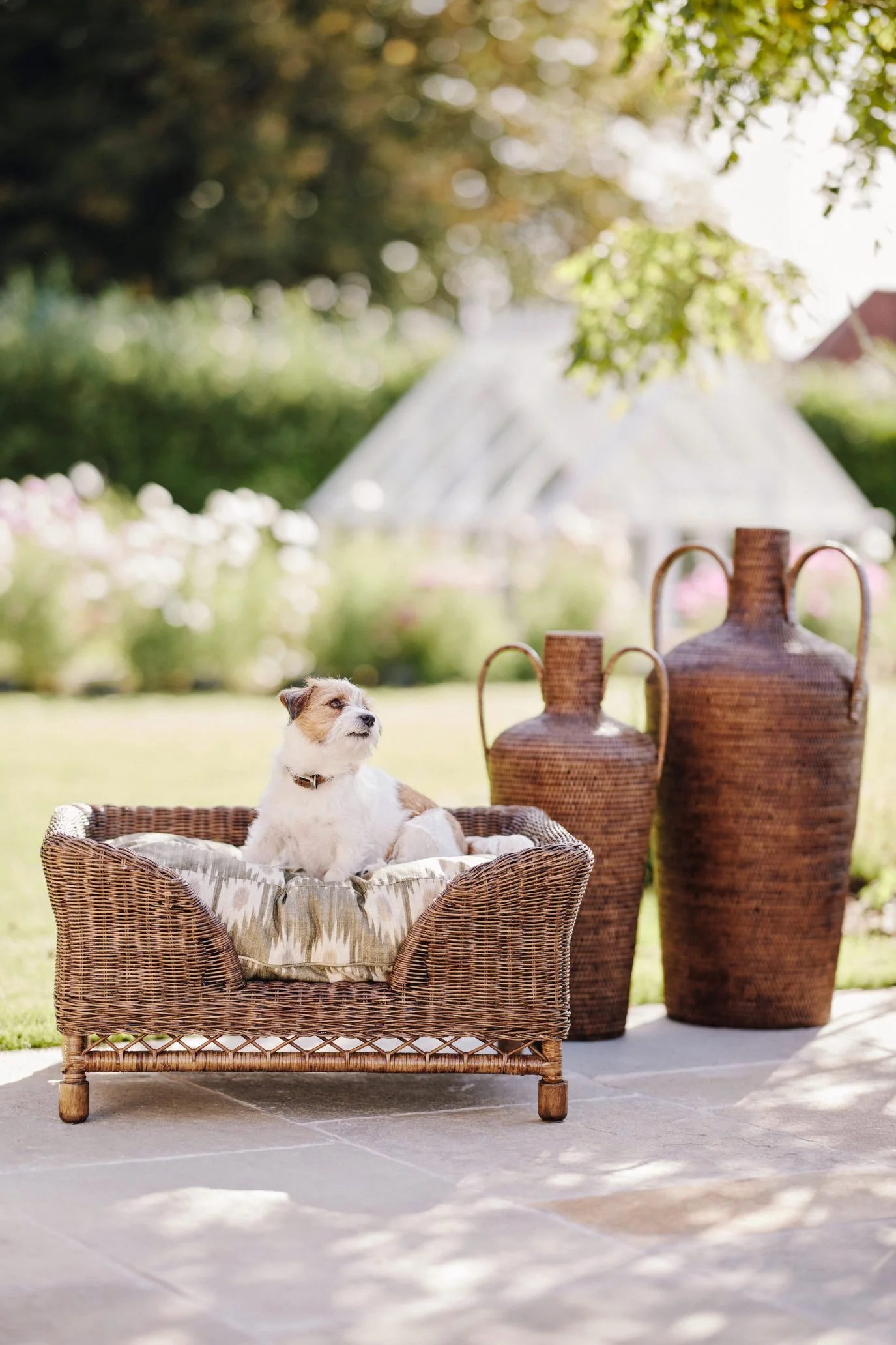 small dog in a large woven rattan basket dog bed.