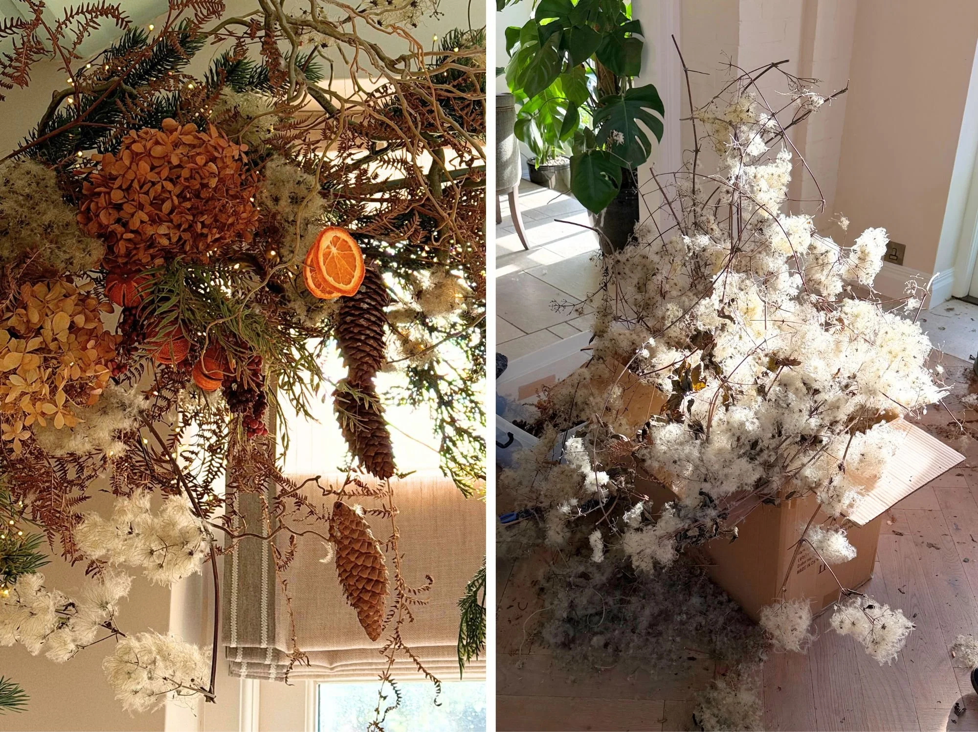 Festive styling close up a display with Festive styling close up a display with dried bracken, hydrangea heads, berries and old man's beard. On the right is a box overflowing with old man's beard fluffy white seed heads