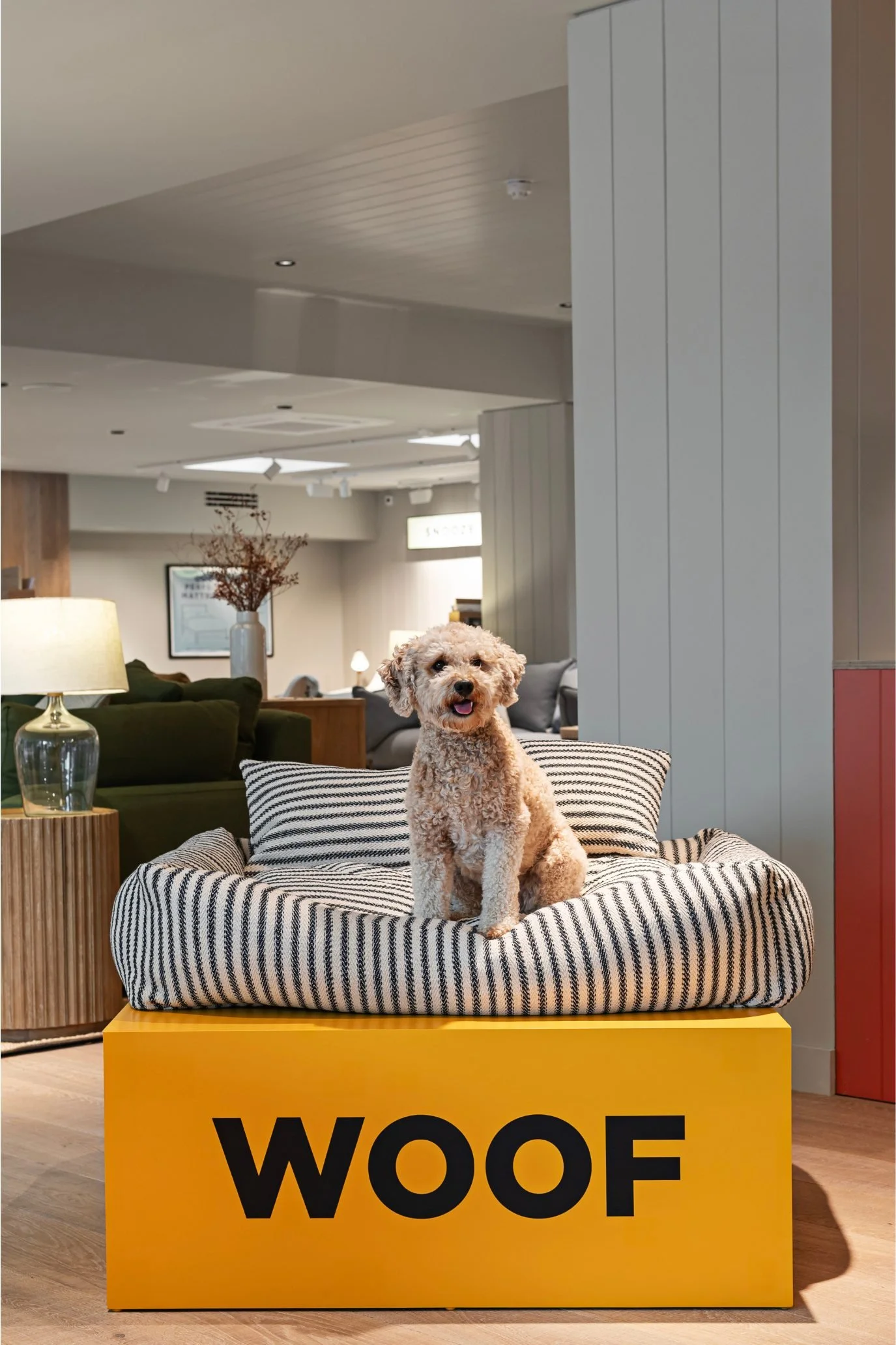 Large striped dog bed with raised sides and plump cushions.