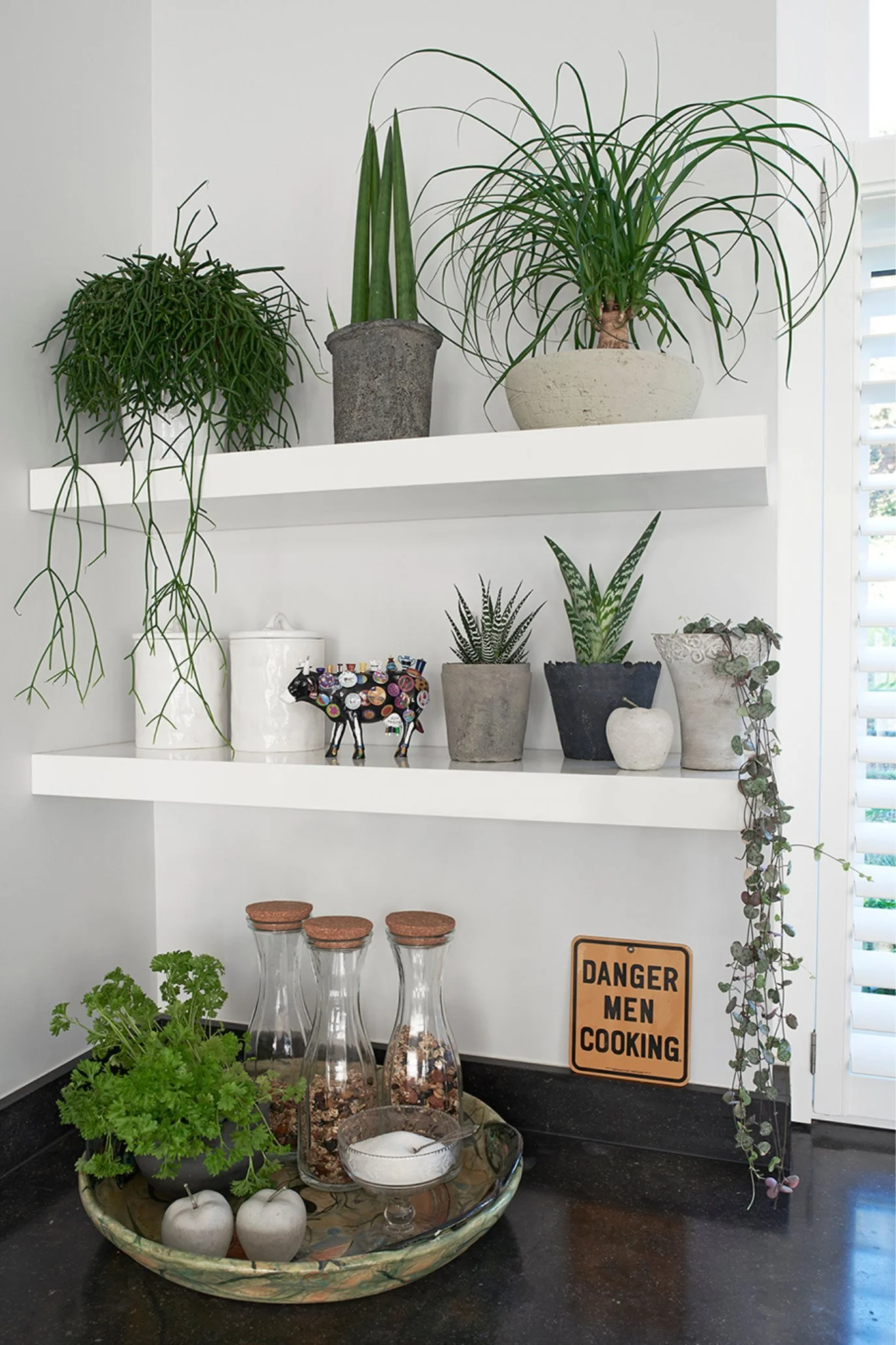 IKEAD white floating shelves with mainly plants including trailing ones as well as a small cow sculpture and a sign which reads danger men cooking