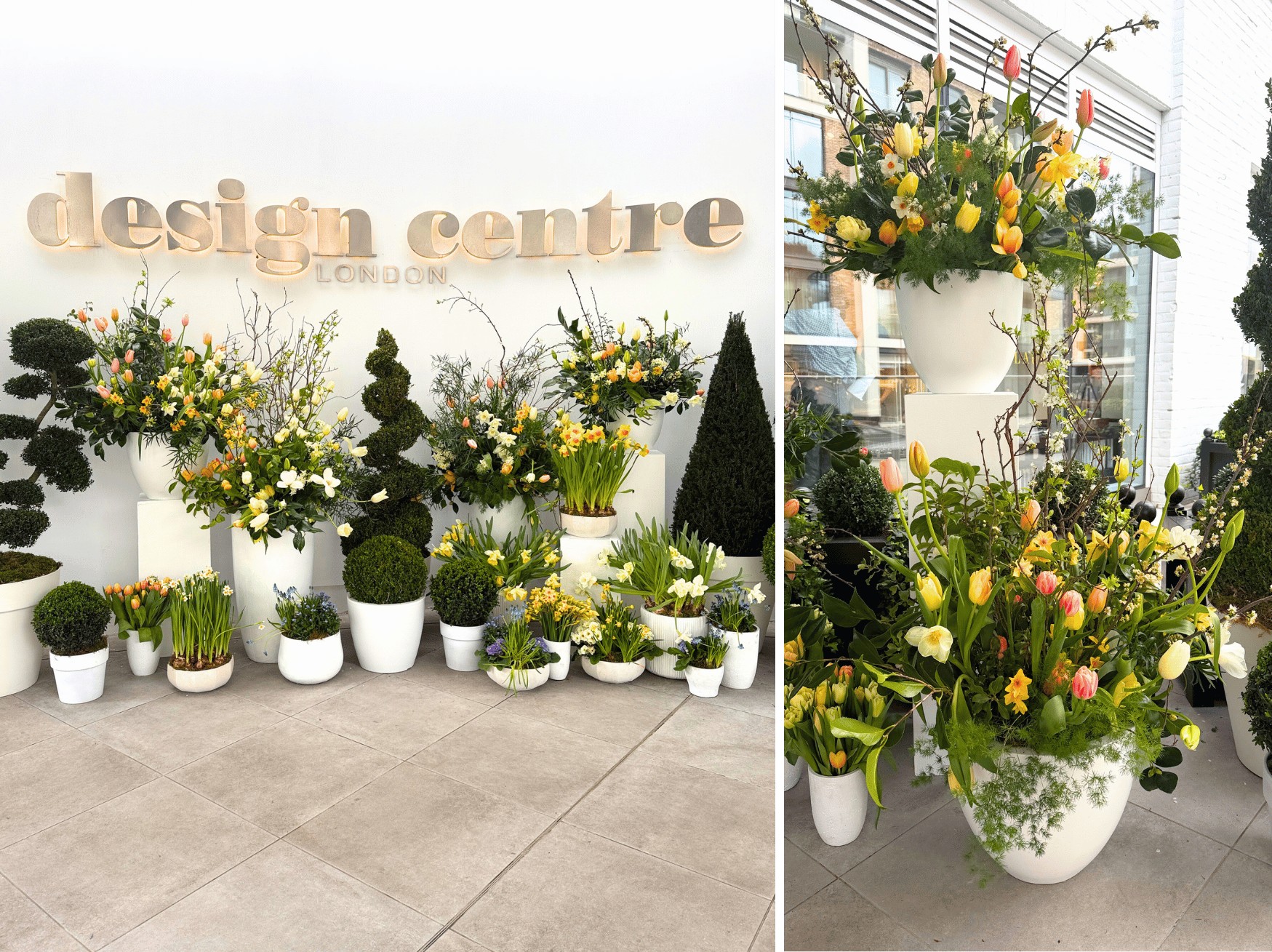 over a dozen white white plant pots with topiary, daffodils, tulips and other flowers all underneath the wording Design centre London