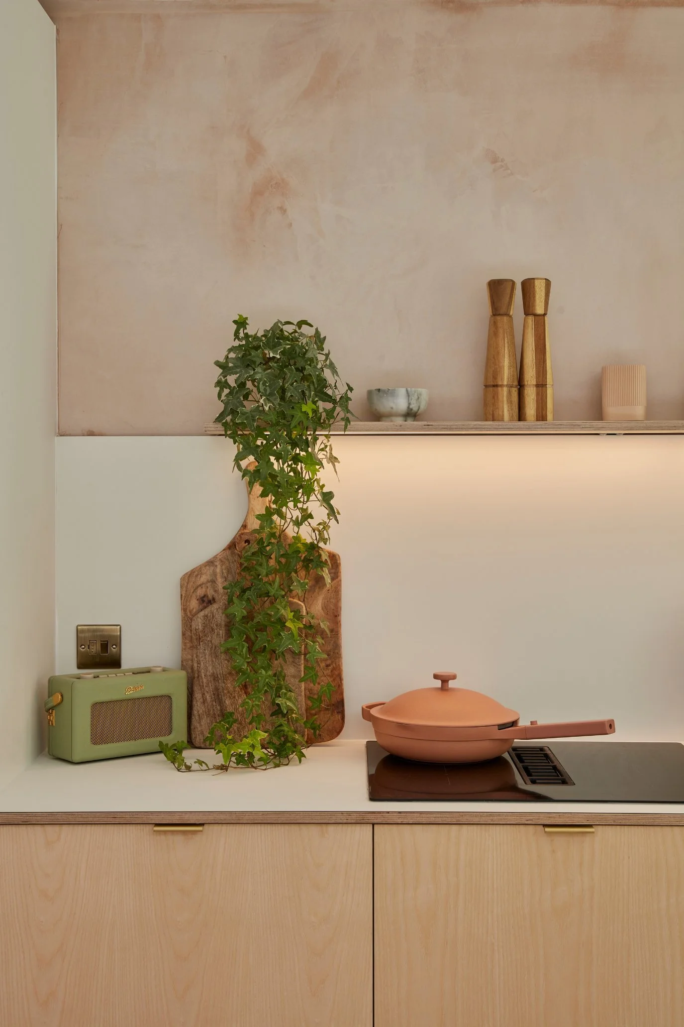 A minimalist kitchen made from plywood with a chopping board, pink toned pan and green retro radio. There are salt and pepper mills and a trailing plant displayed on the shelf