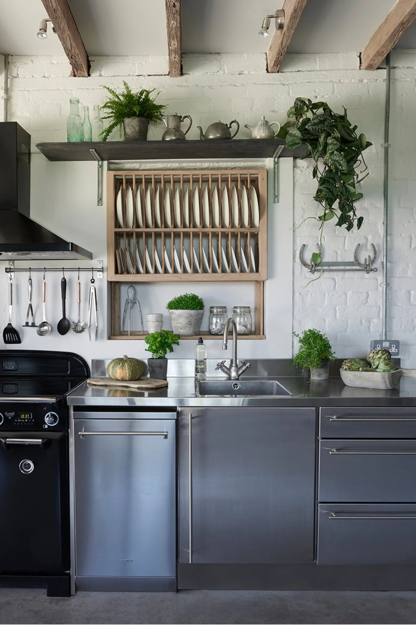 A kitchen in a conc=verted bard with a plate rack hanging on the wall full of plates and plants, jars and a metal juicer.