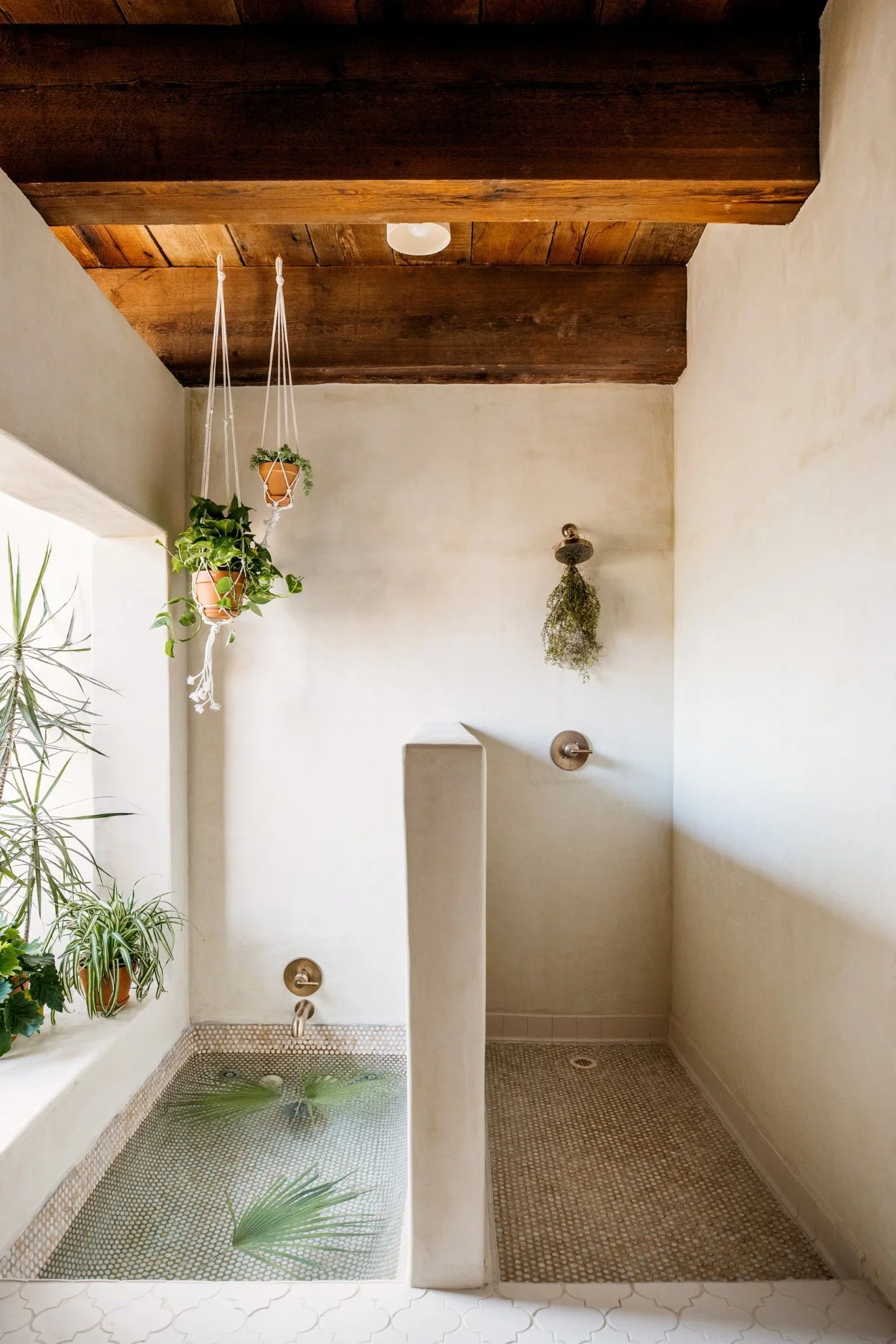 Relaxed desert bathroom with hanging plants and warm brass fixtures