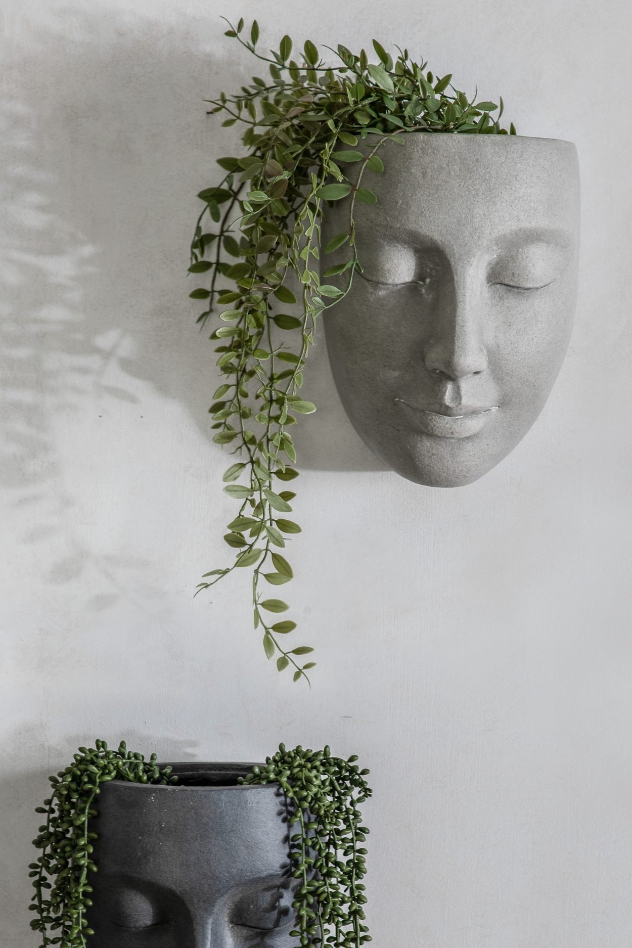 Whimsical face wall planters by Wayfair for indoor or outdoor use