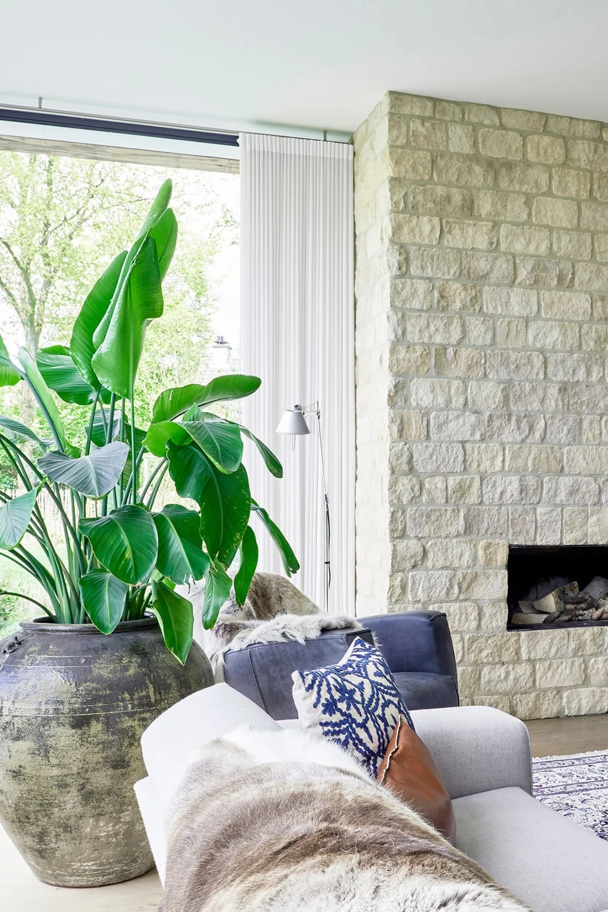 a bird of paradise house plant in a  large natural stone pot next to a cream sofa in a stylish living room with a Cotswold stone fire place.