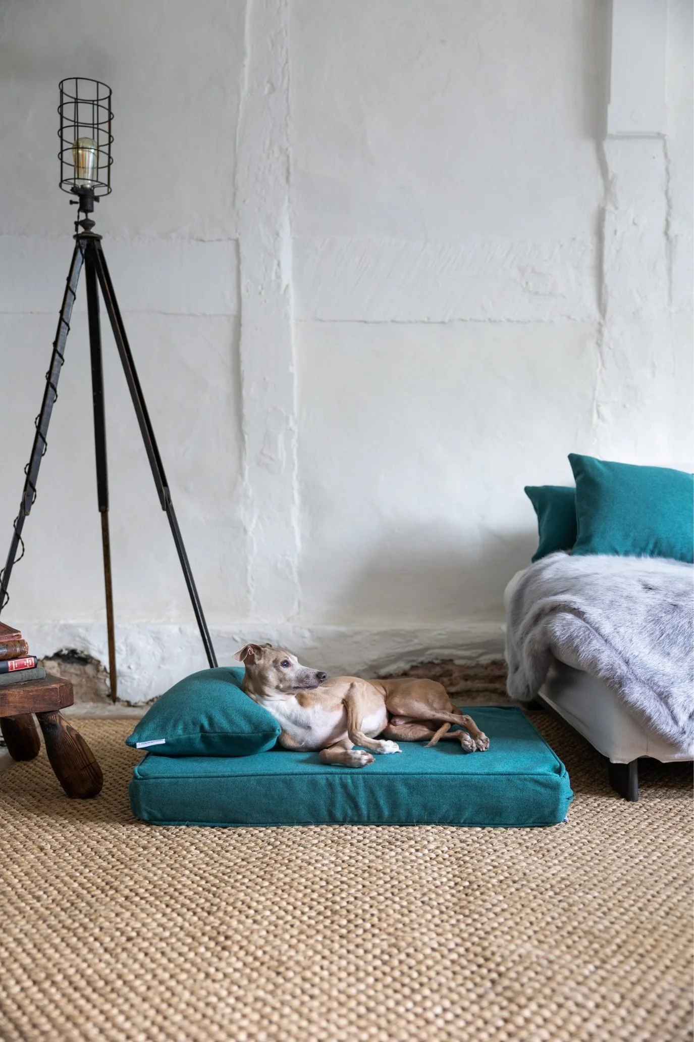 Teal velvet dog daybed with a matching pillow