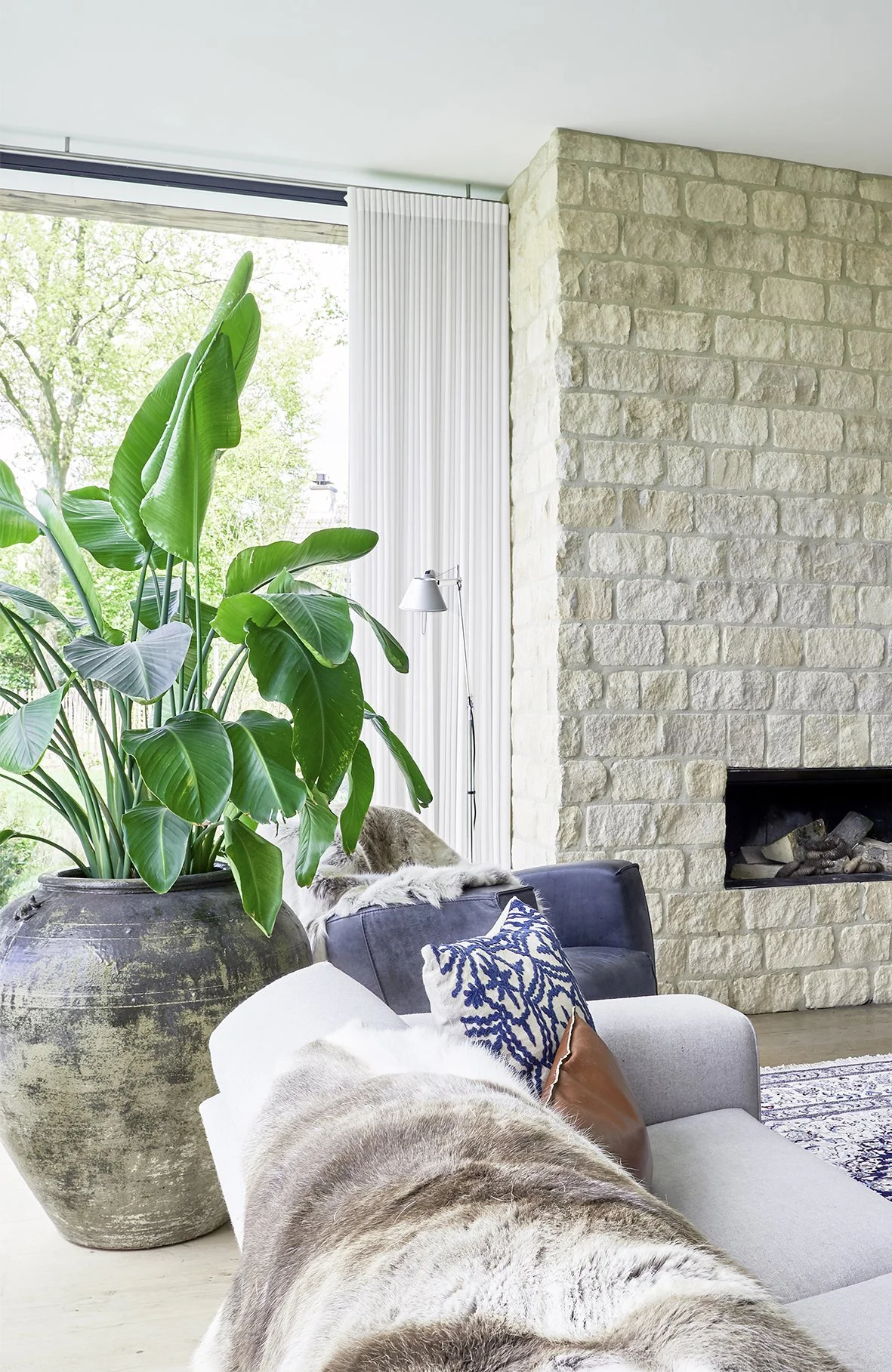 a bird of paradise house plant in a  large natural stone pot next to a cream sofa in a stylish living room with a Cotswold stone fire place.