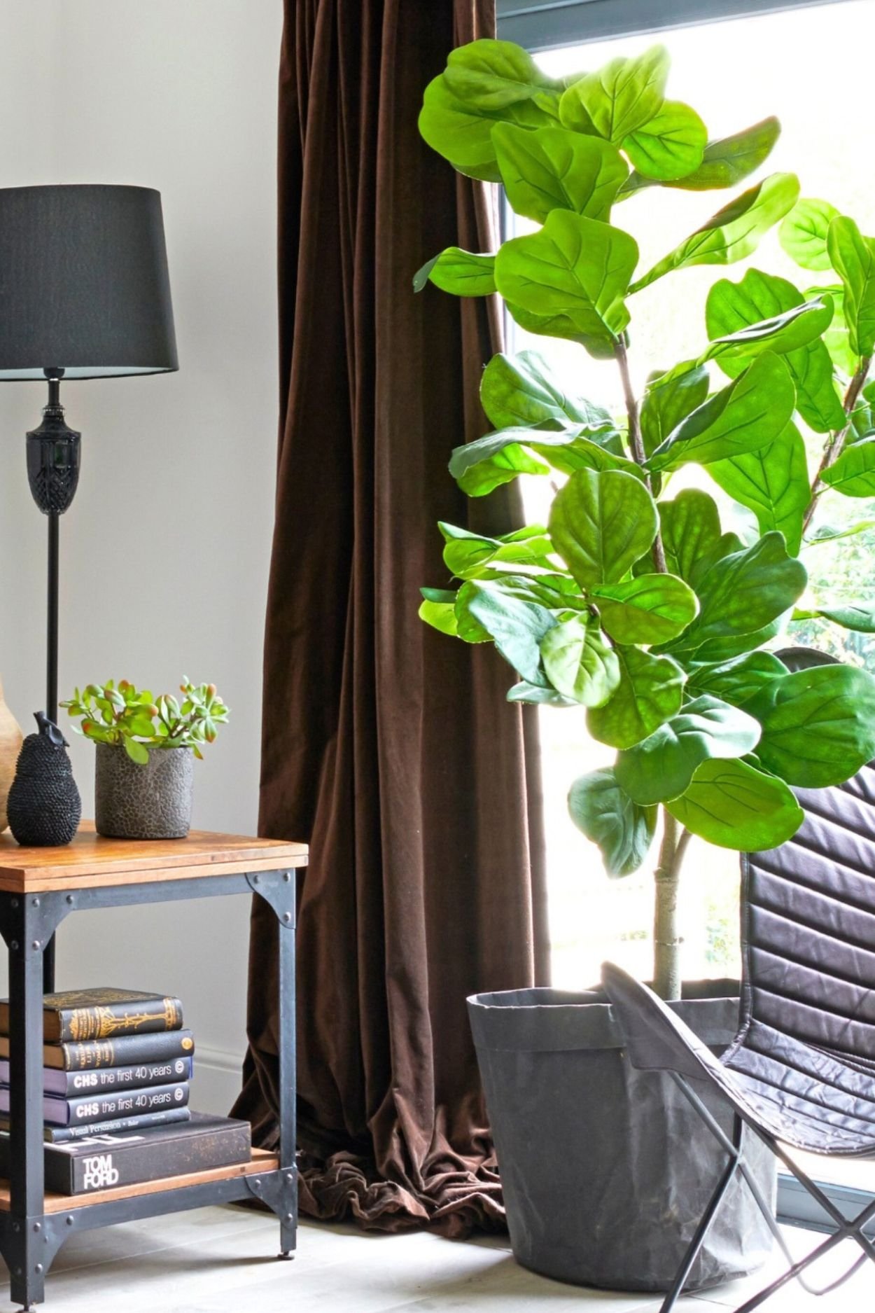 A fake Fiddle Leaf plant in a window next to a brown butterfly chair and brown velvet curtains. There is a table with a black lamp and vessels and the arm of a brown sofa next to it