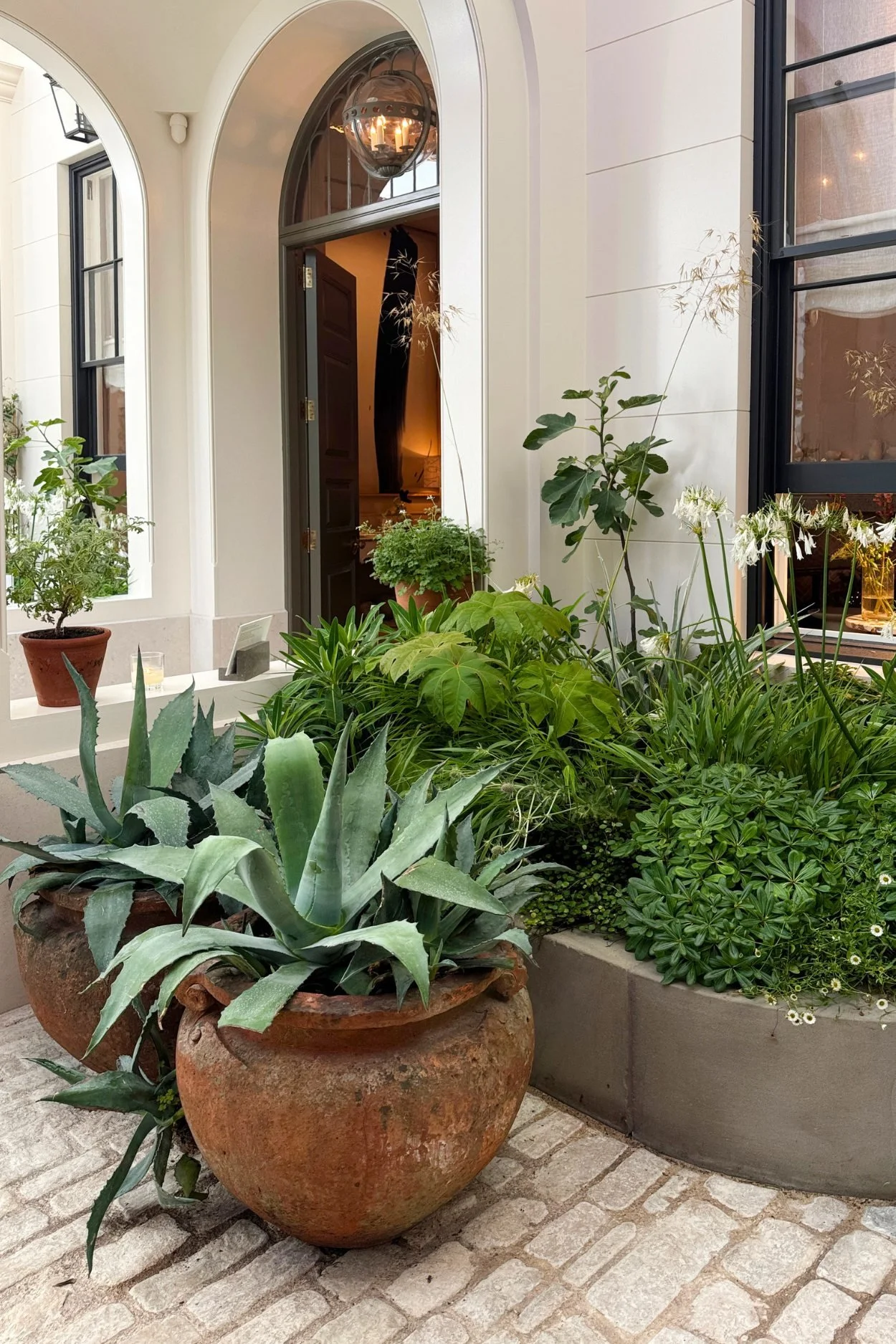 Vintage terracotta pot outside WOW!house filled with architectural planting