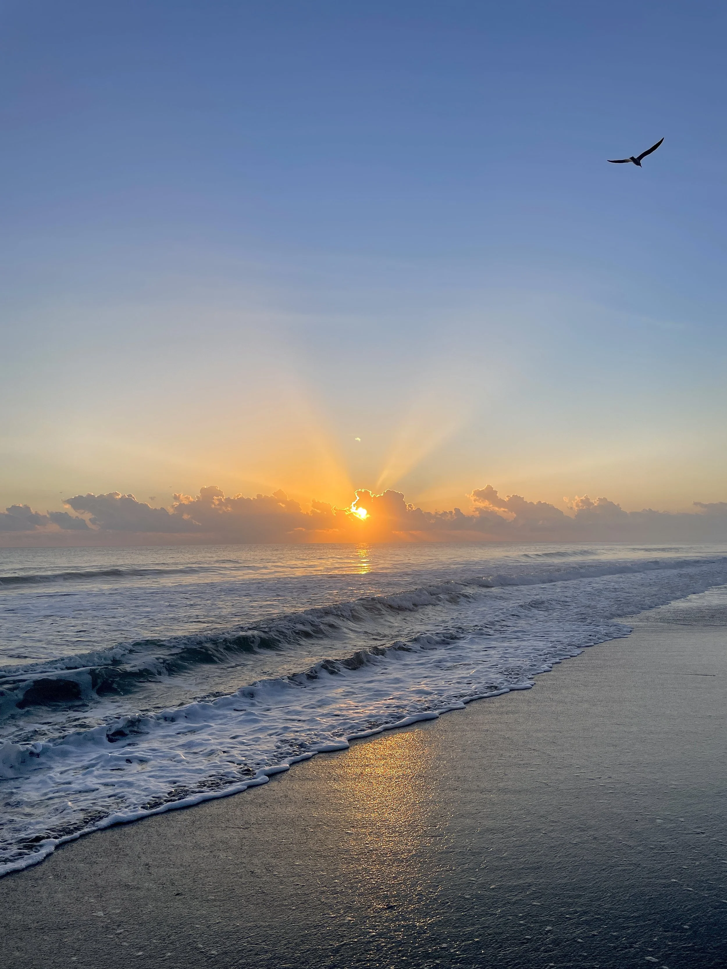 5 Places to Visit in Stuart, Florida — Macy On The Go