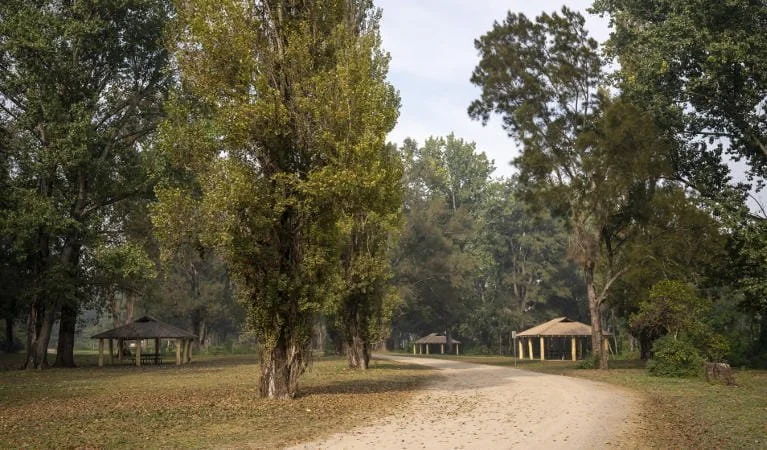 cattai-farm-picnic-area-18.jpg