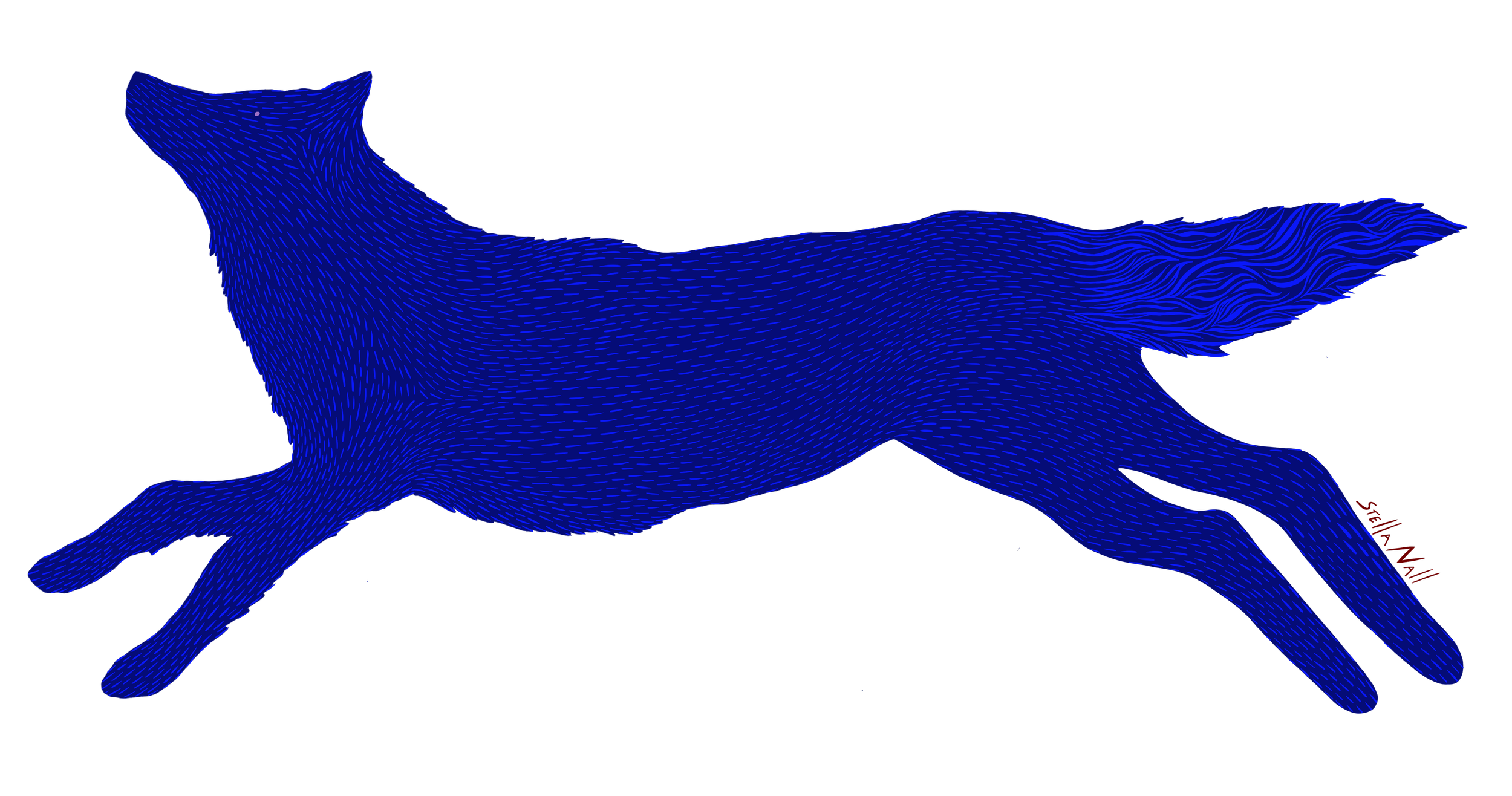 coyote.png