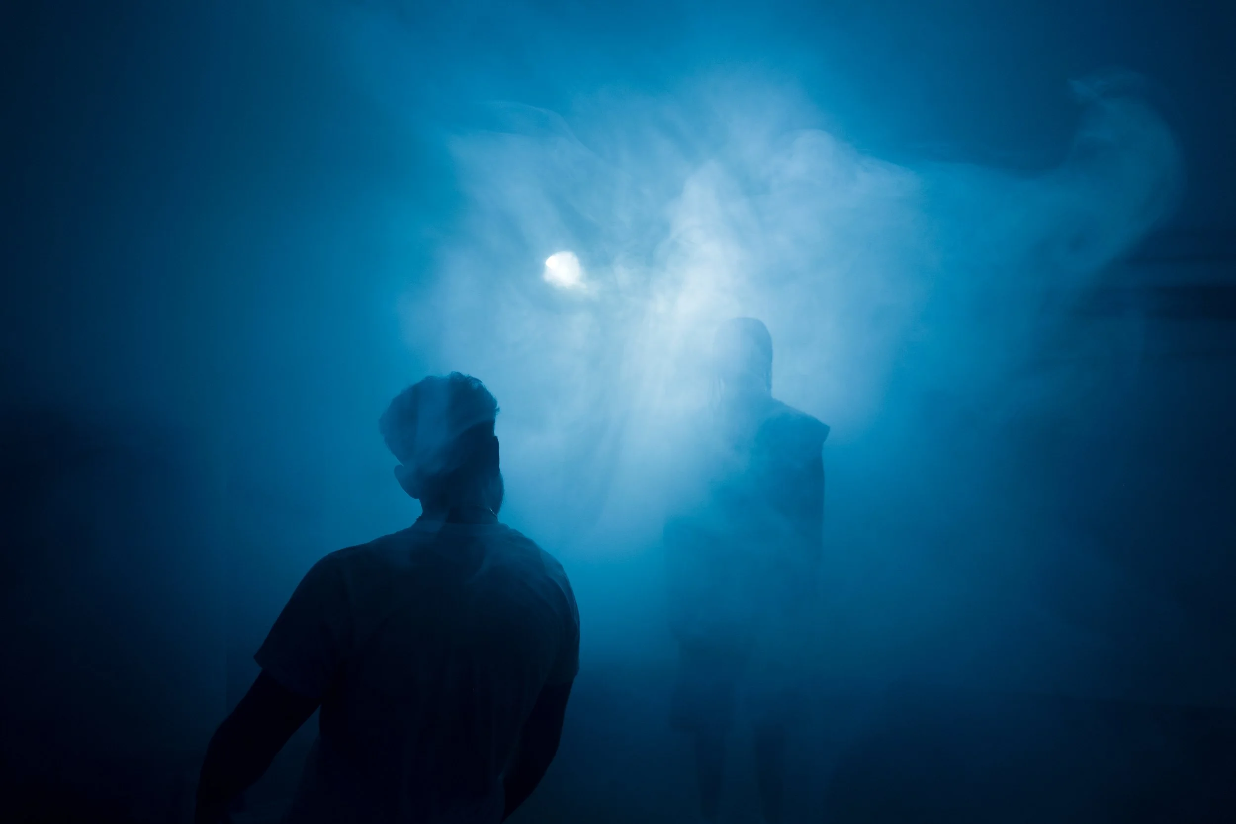 Joey Carousel Pics-1.jpg