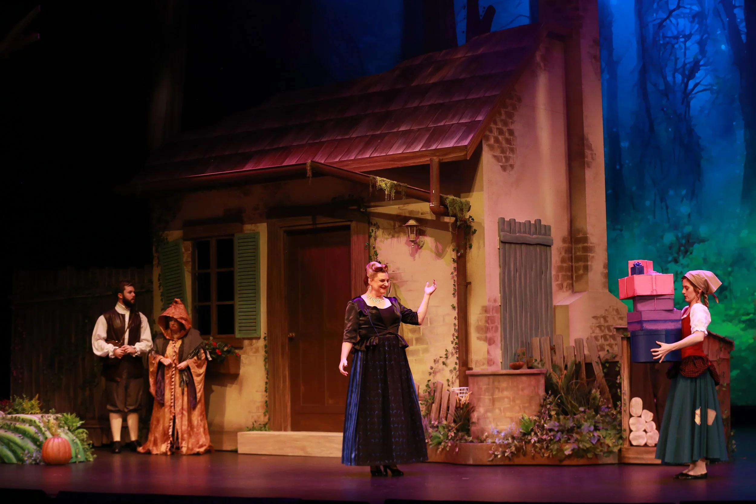 Empire Theatre 2 Cinderella (Credit - Justin Nicholas)-234.jpg