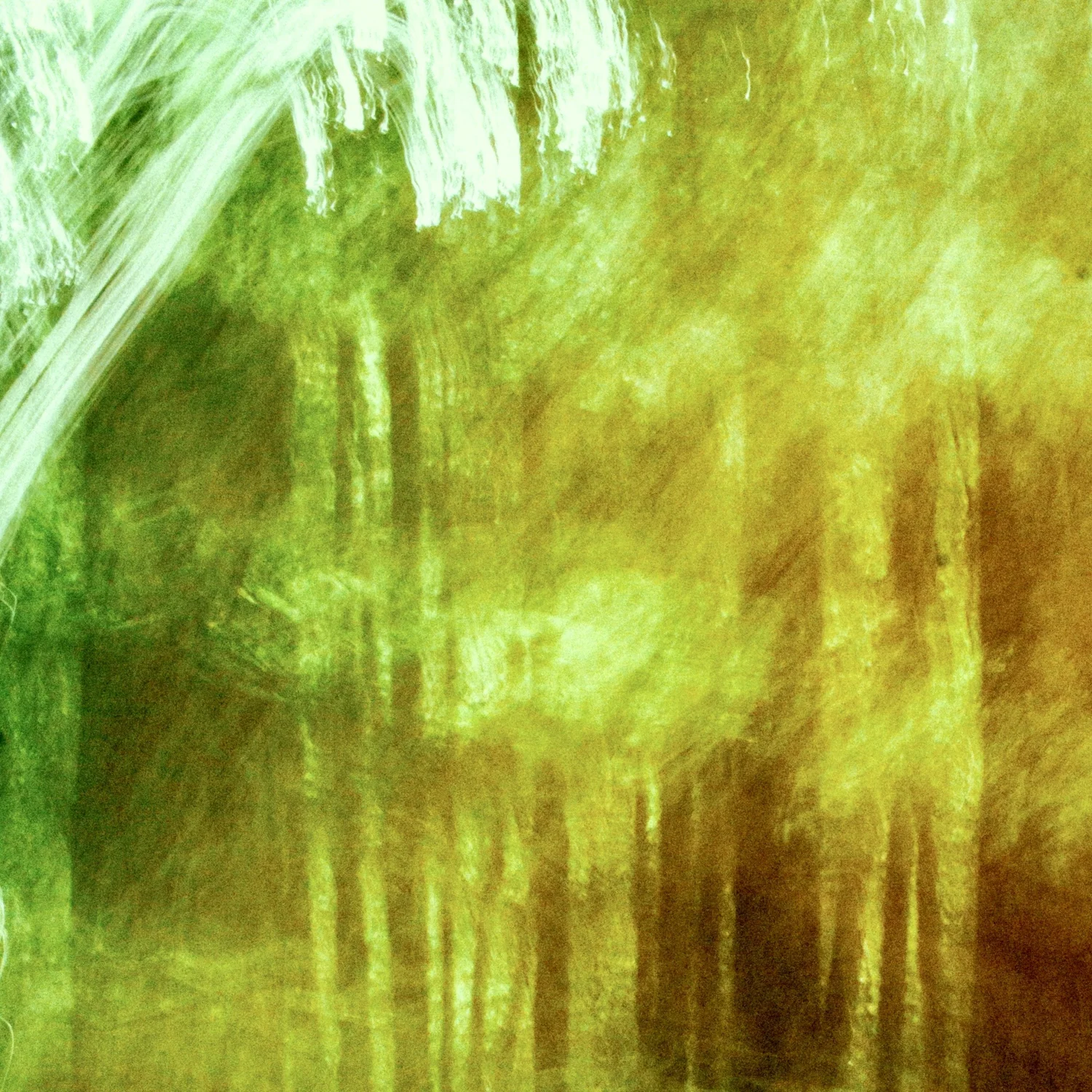 The Vessel of Divine Truths