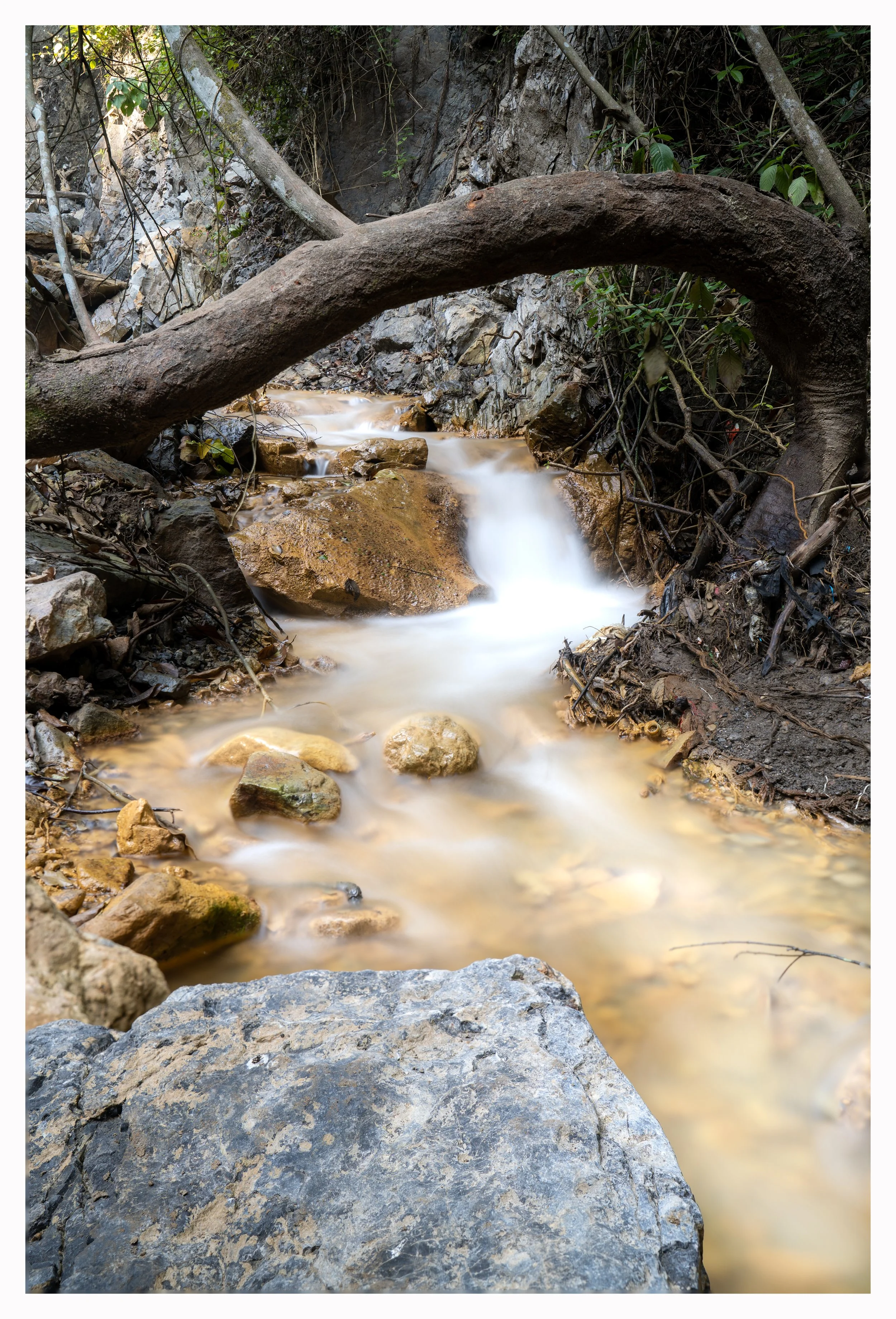 DSC01229-Edit.jpg